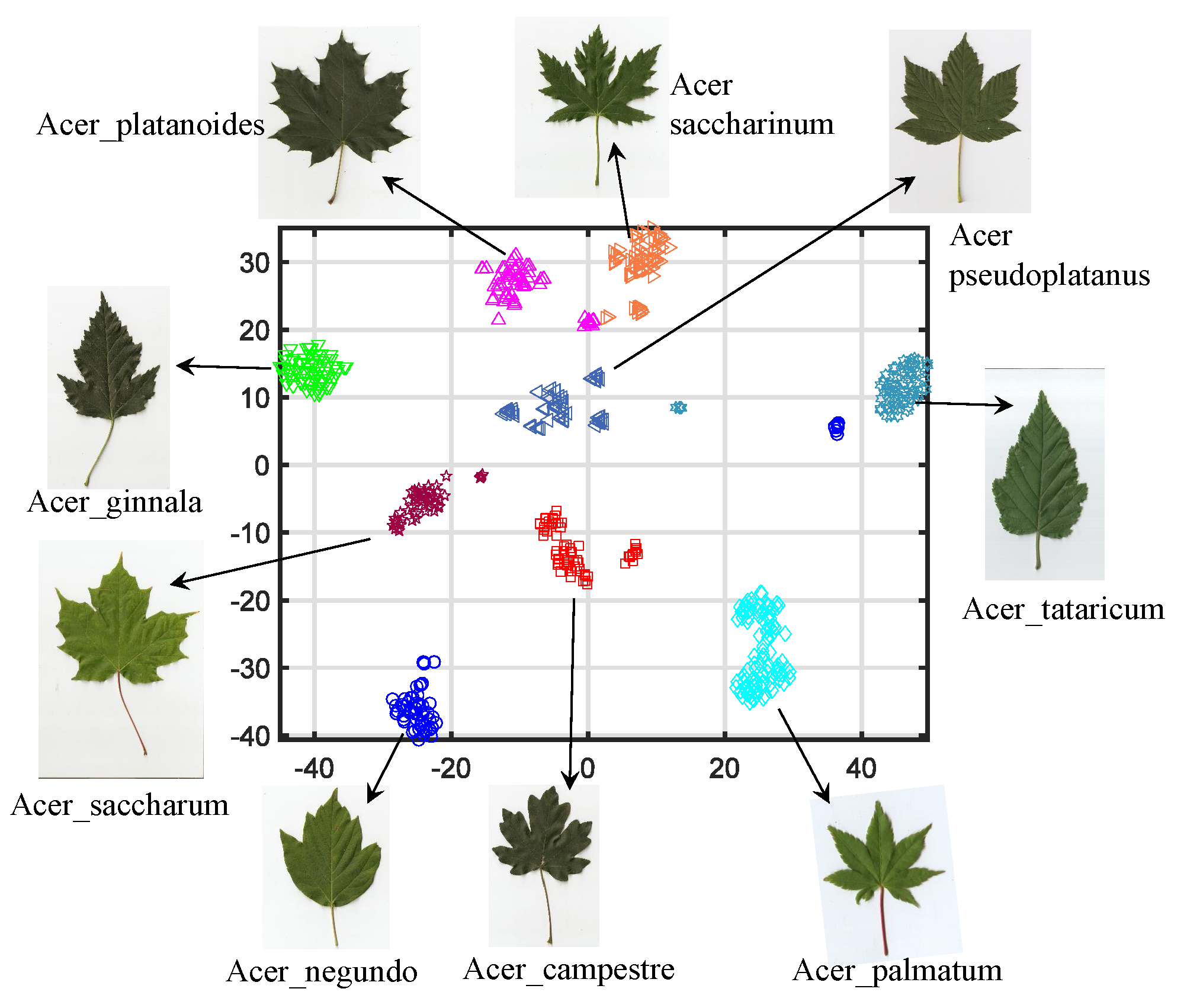 Applsci 13 04531 g001