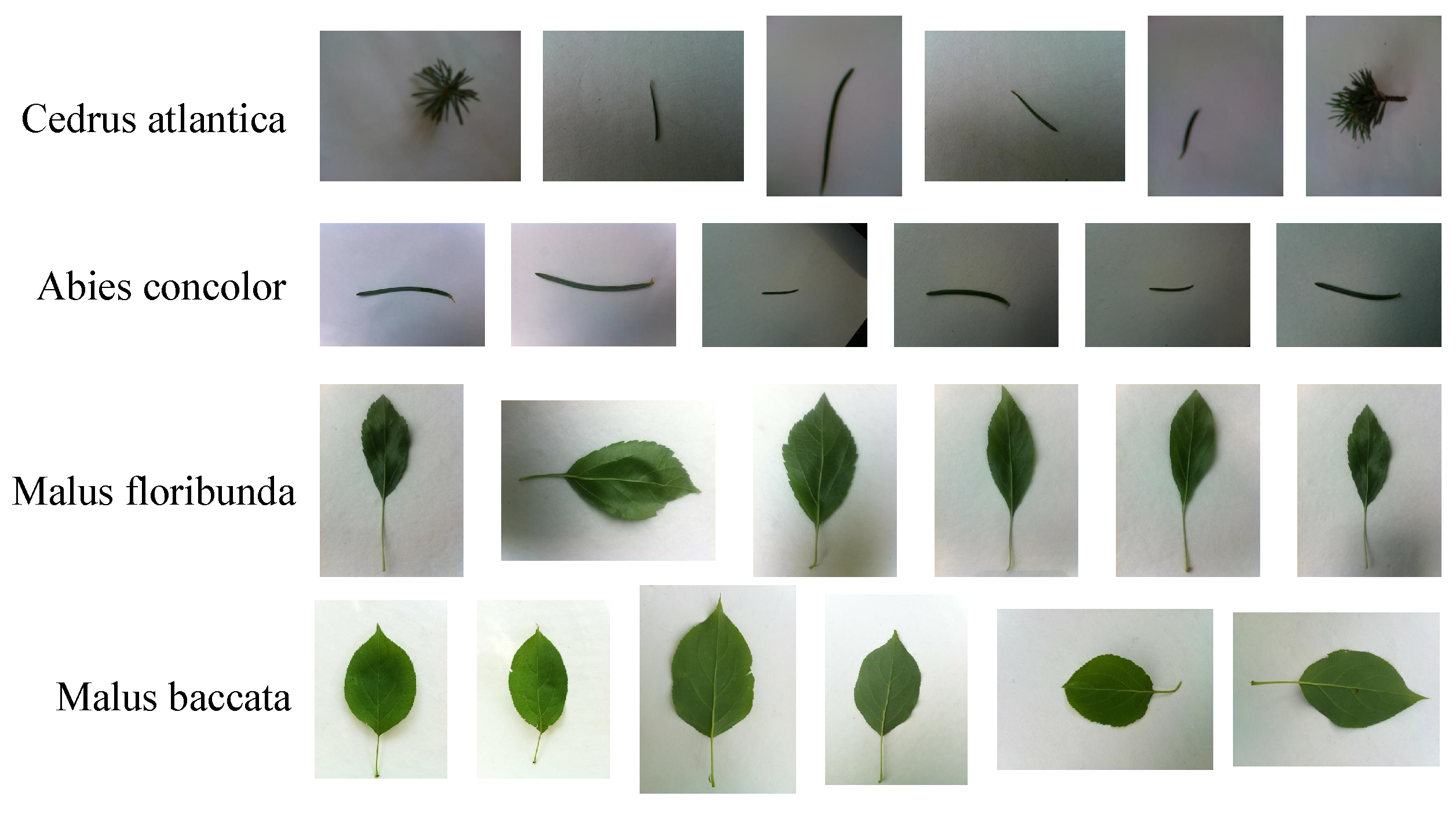Applsci 13 04531 g011
