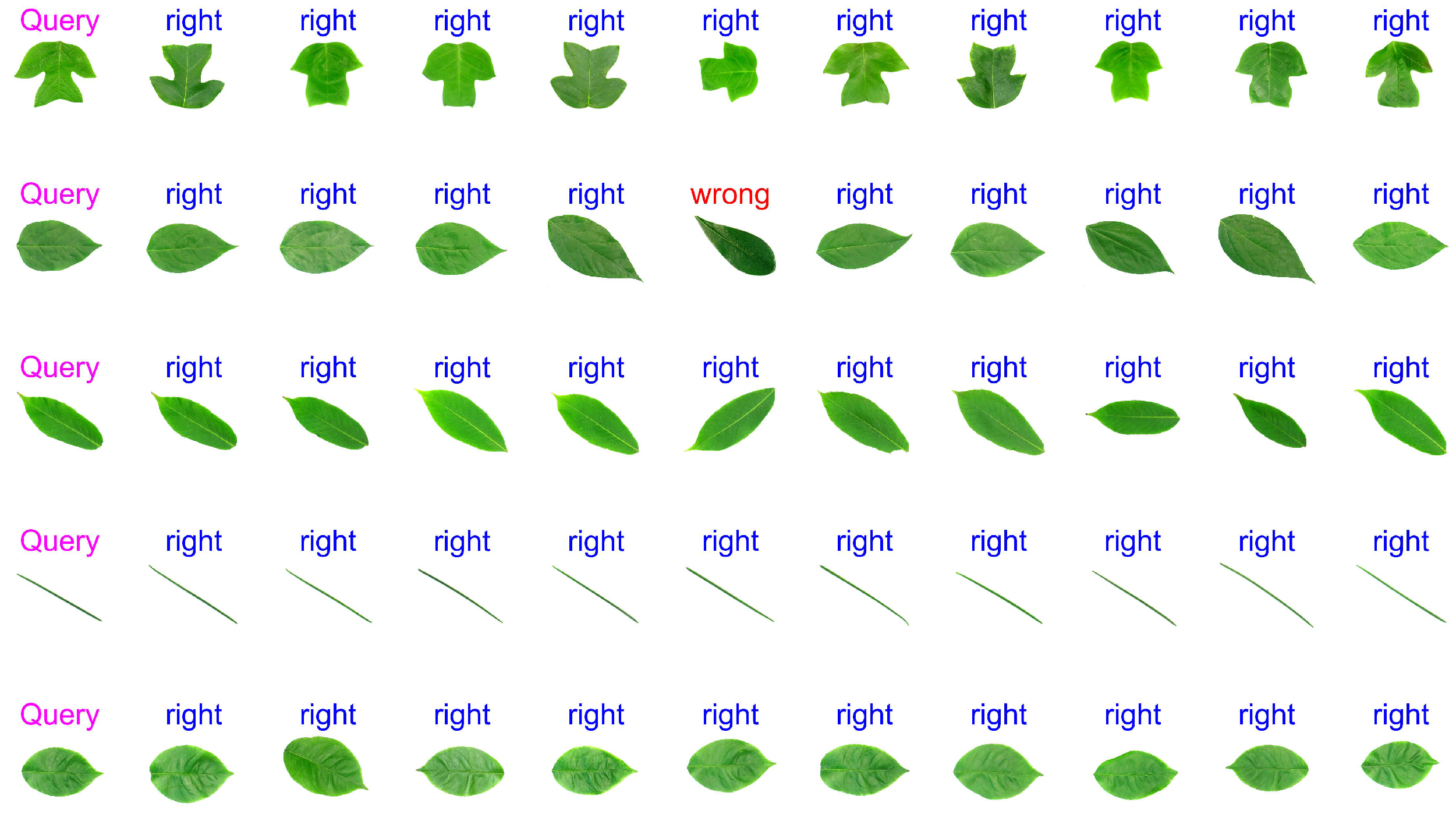 Applsci 13 04531 g015