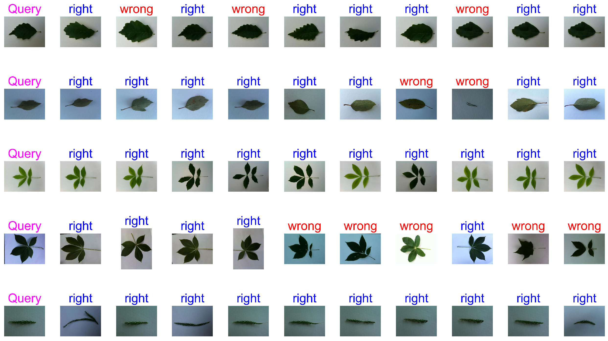 Applsci 13 04531 g016
