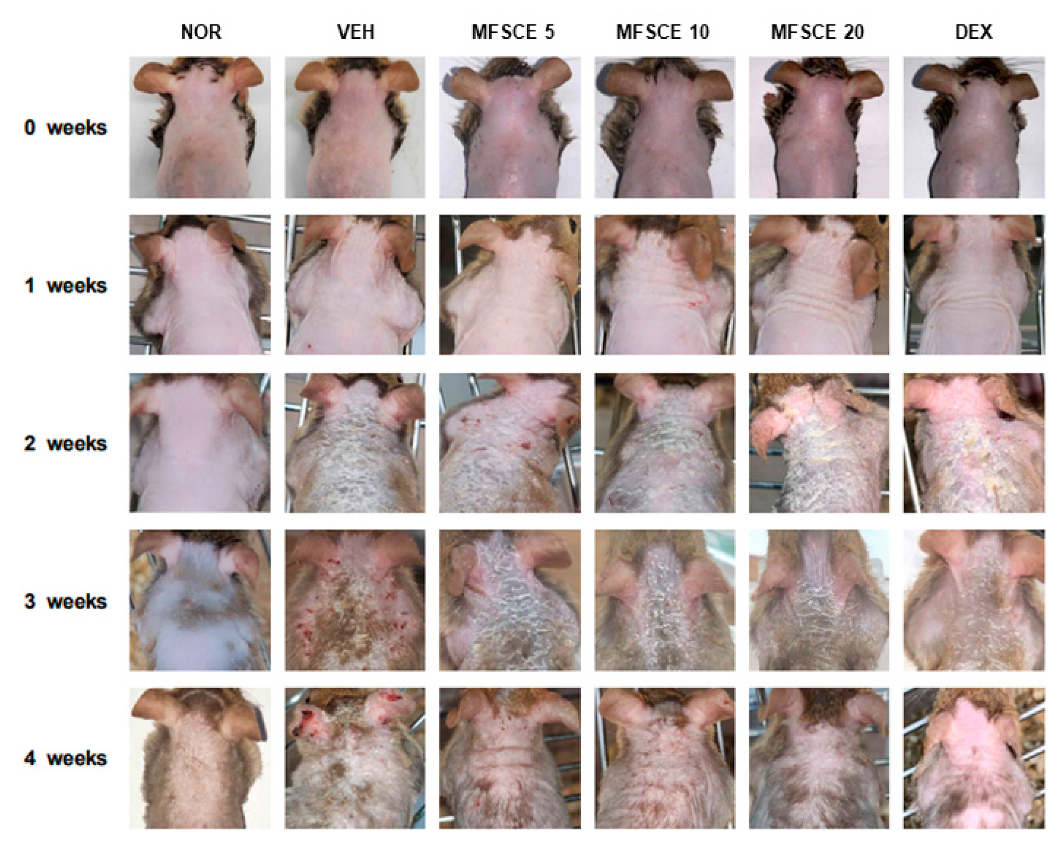 Applsci 13 04542 g002 Applsci 13 04542 g002