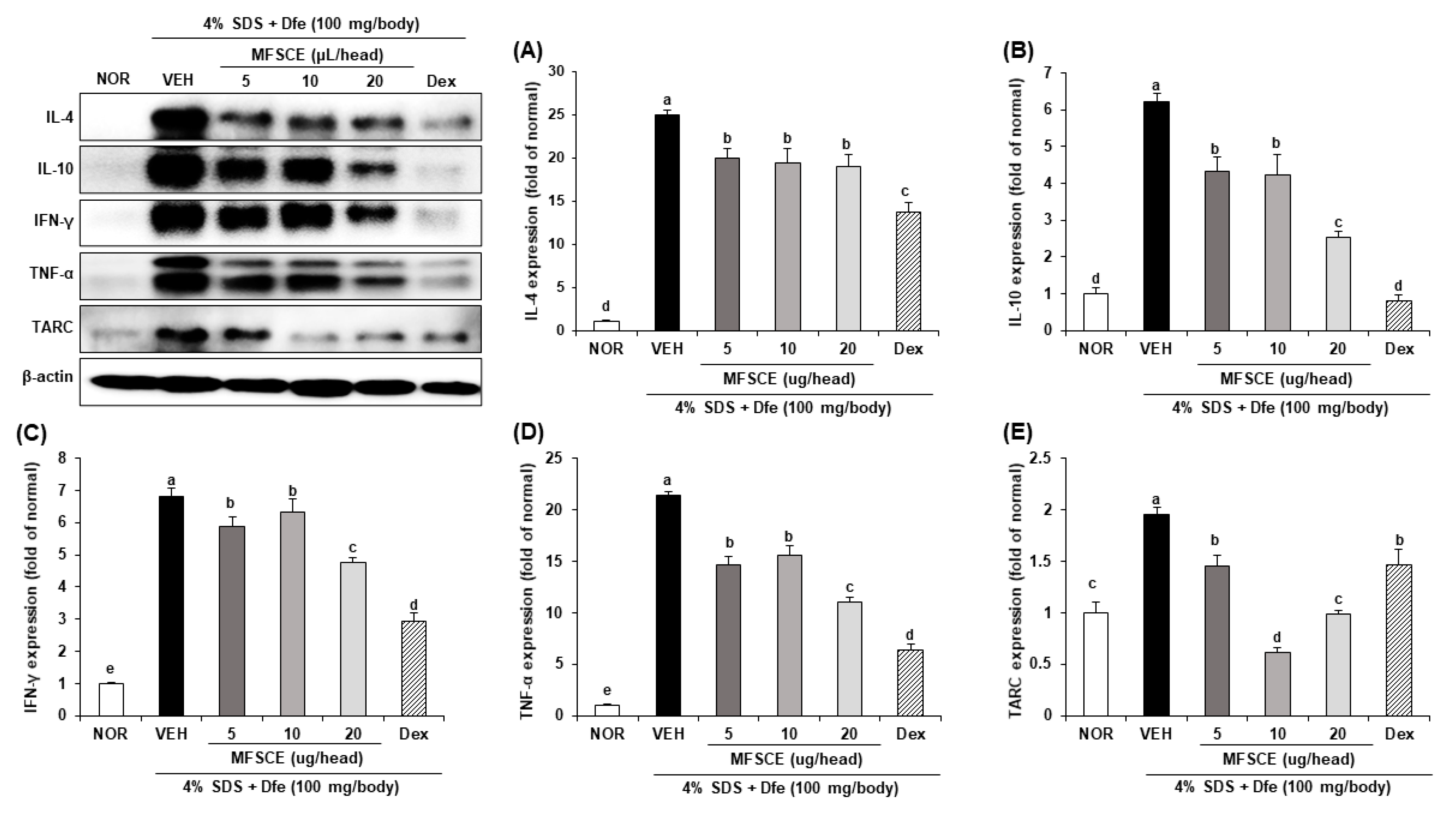 Applsci 13 04542 g007 Applsci 13 04542 g007