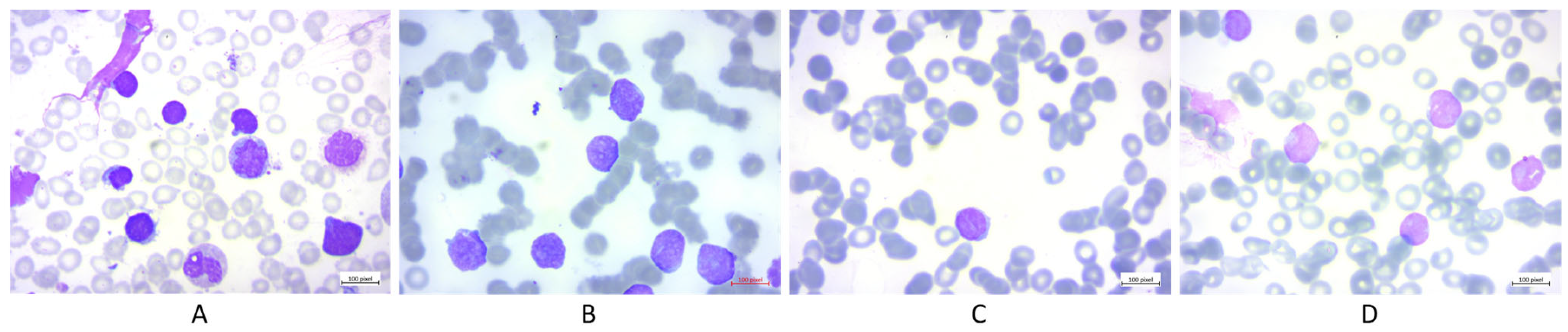 Applsci 13 04547 g003