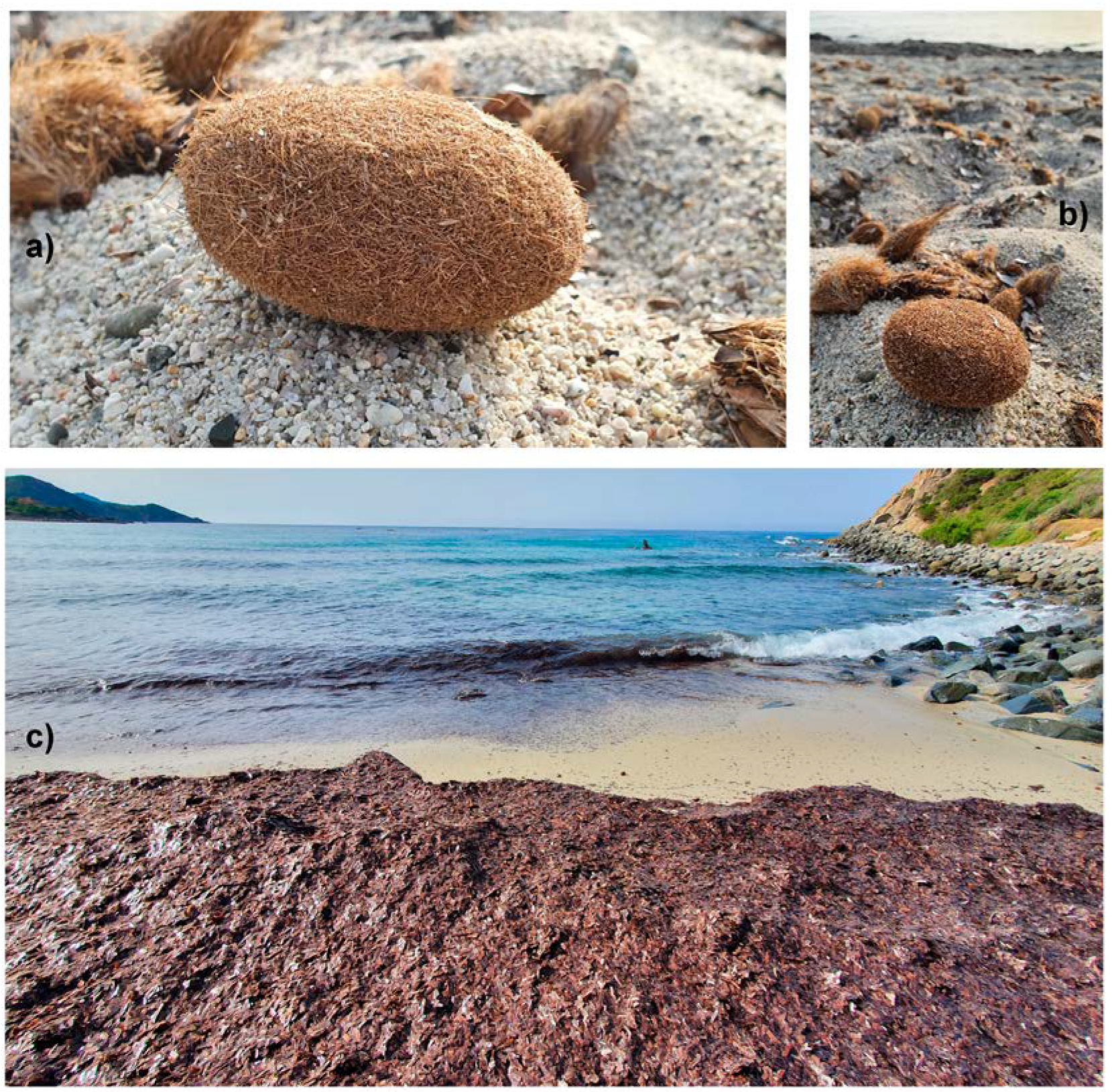 Applsci 13 04562 g001