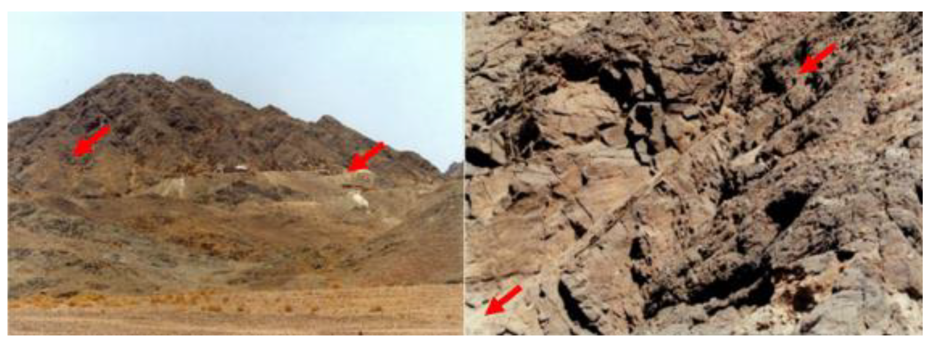 Applsci 13 04564 g002