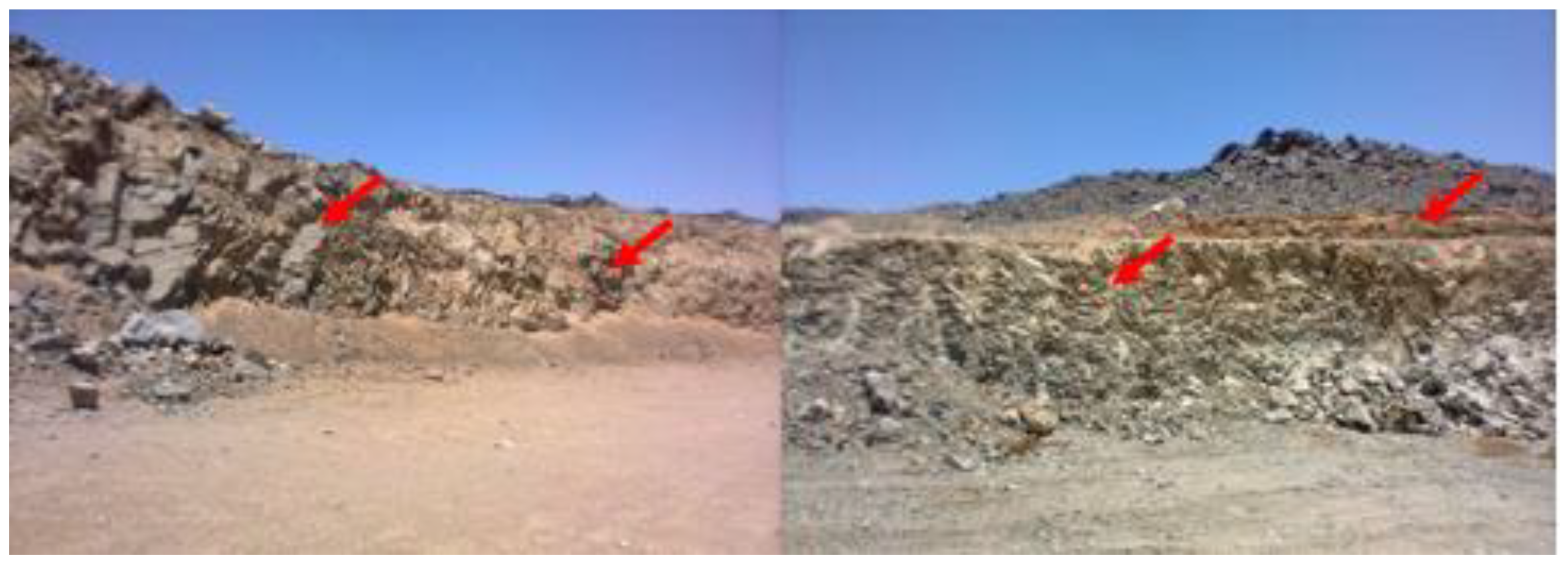 Applsci 13 04564 g003