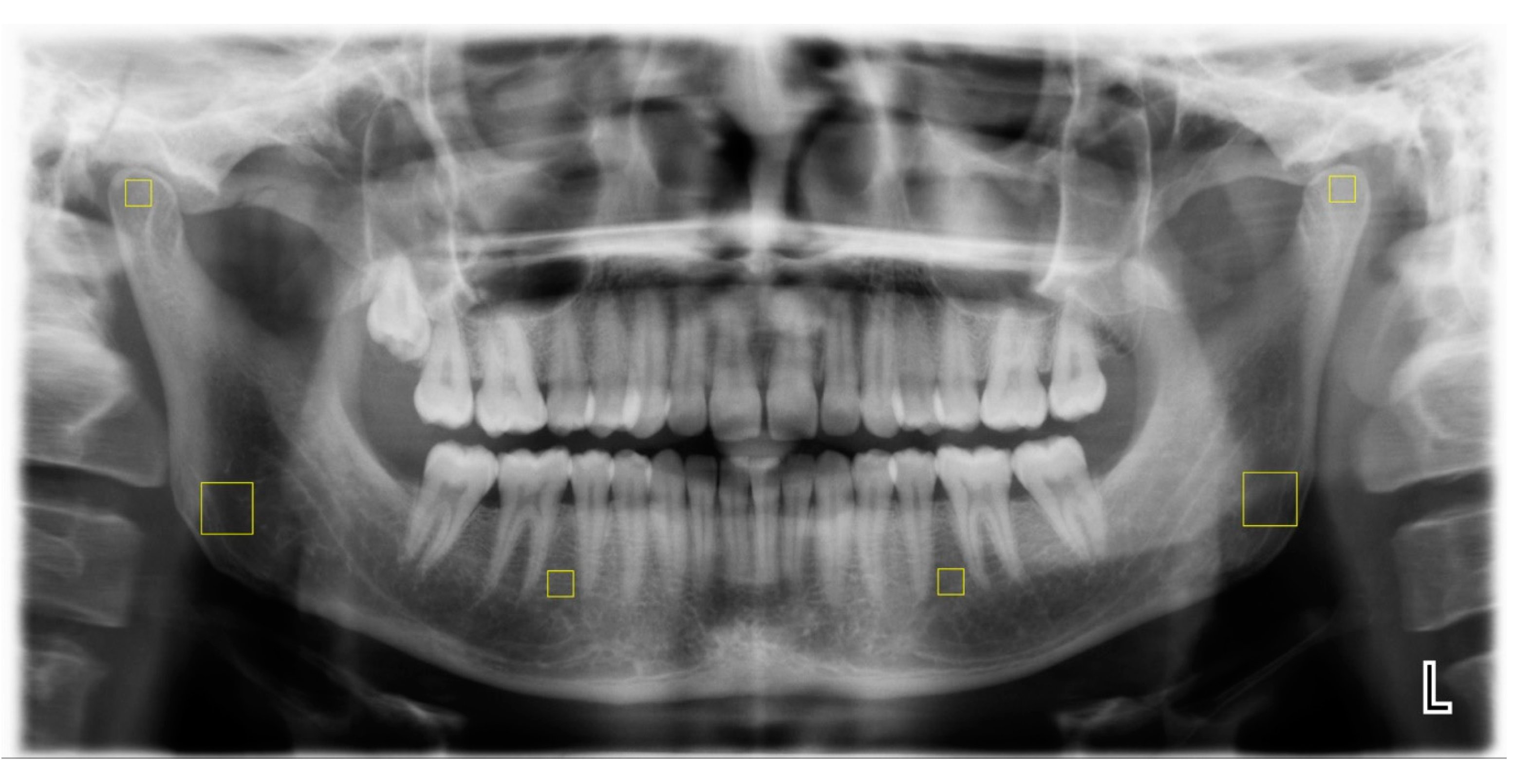 Applsci 13 04568 g001