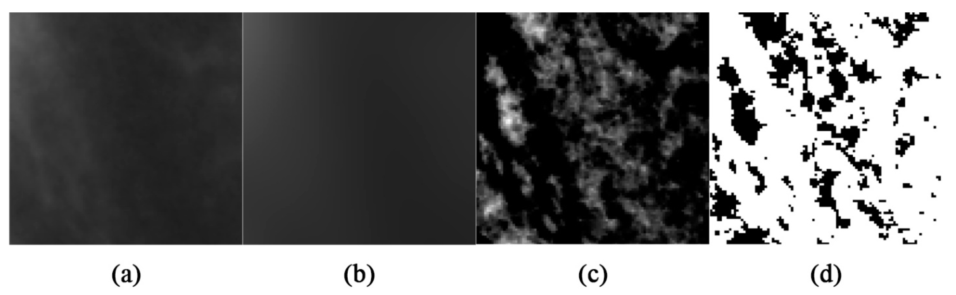 Applsci 13 04568 g003