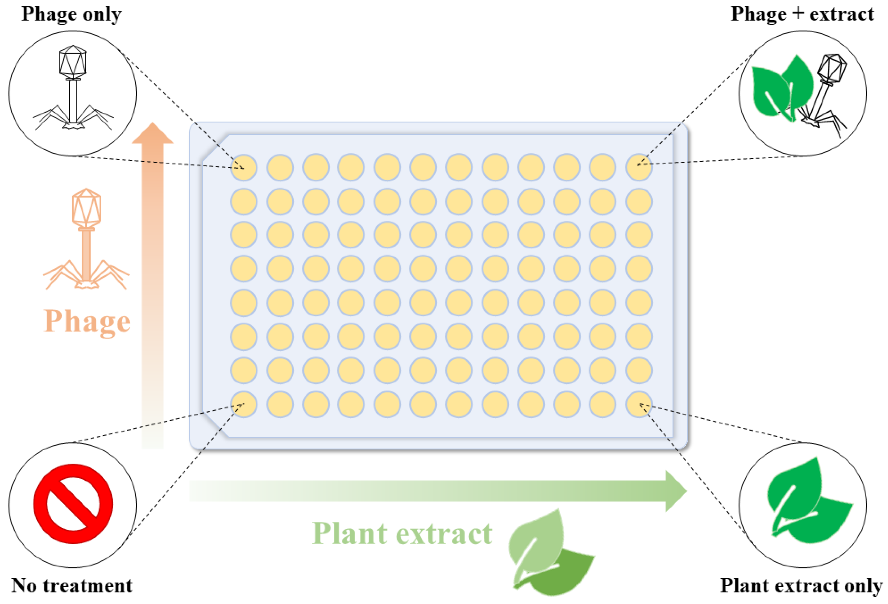 Applsci 13 04575 g001 Applsci 13 04575 g001