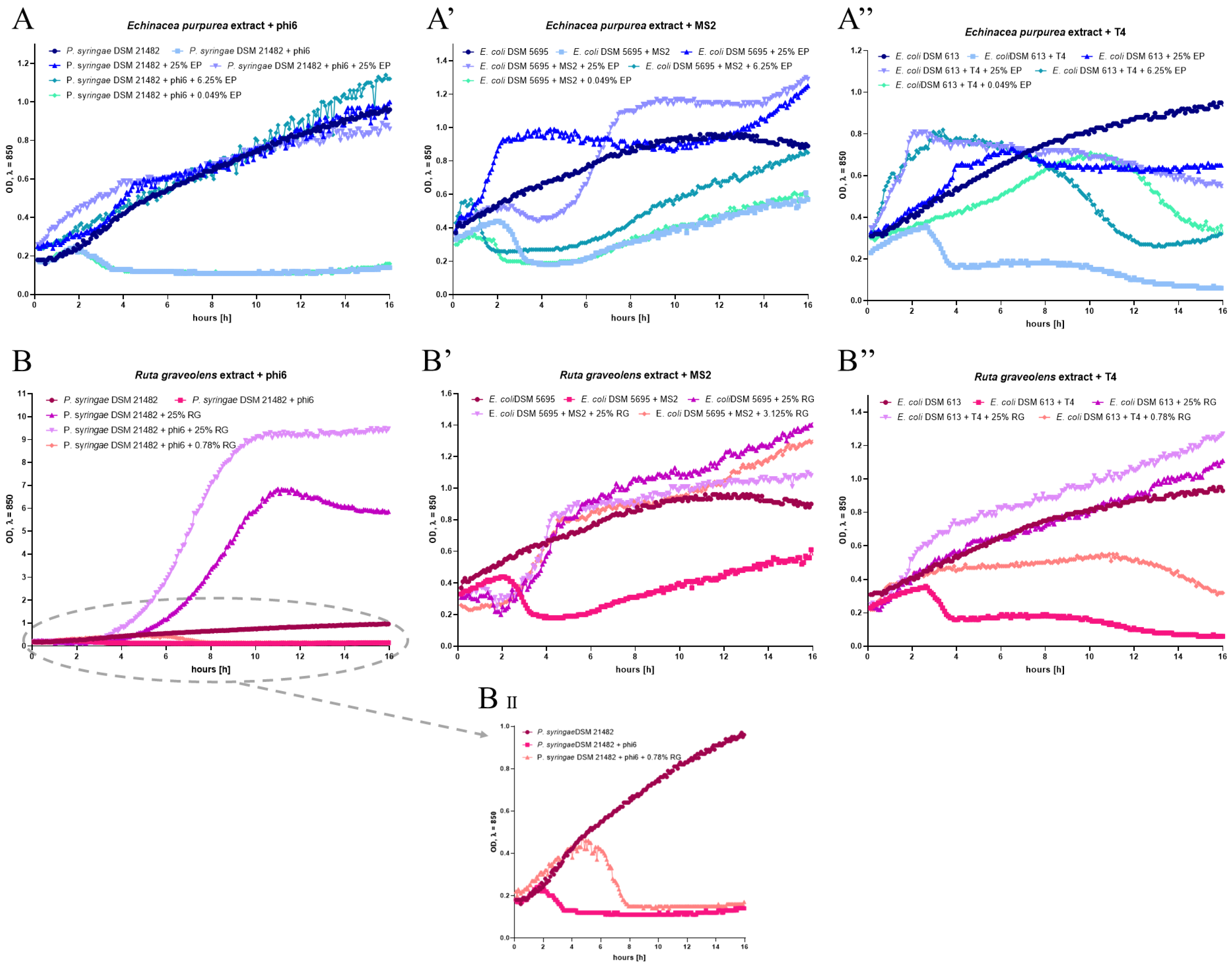 Applsci 13 04575 g005 Applsci 13 04575 g005