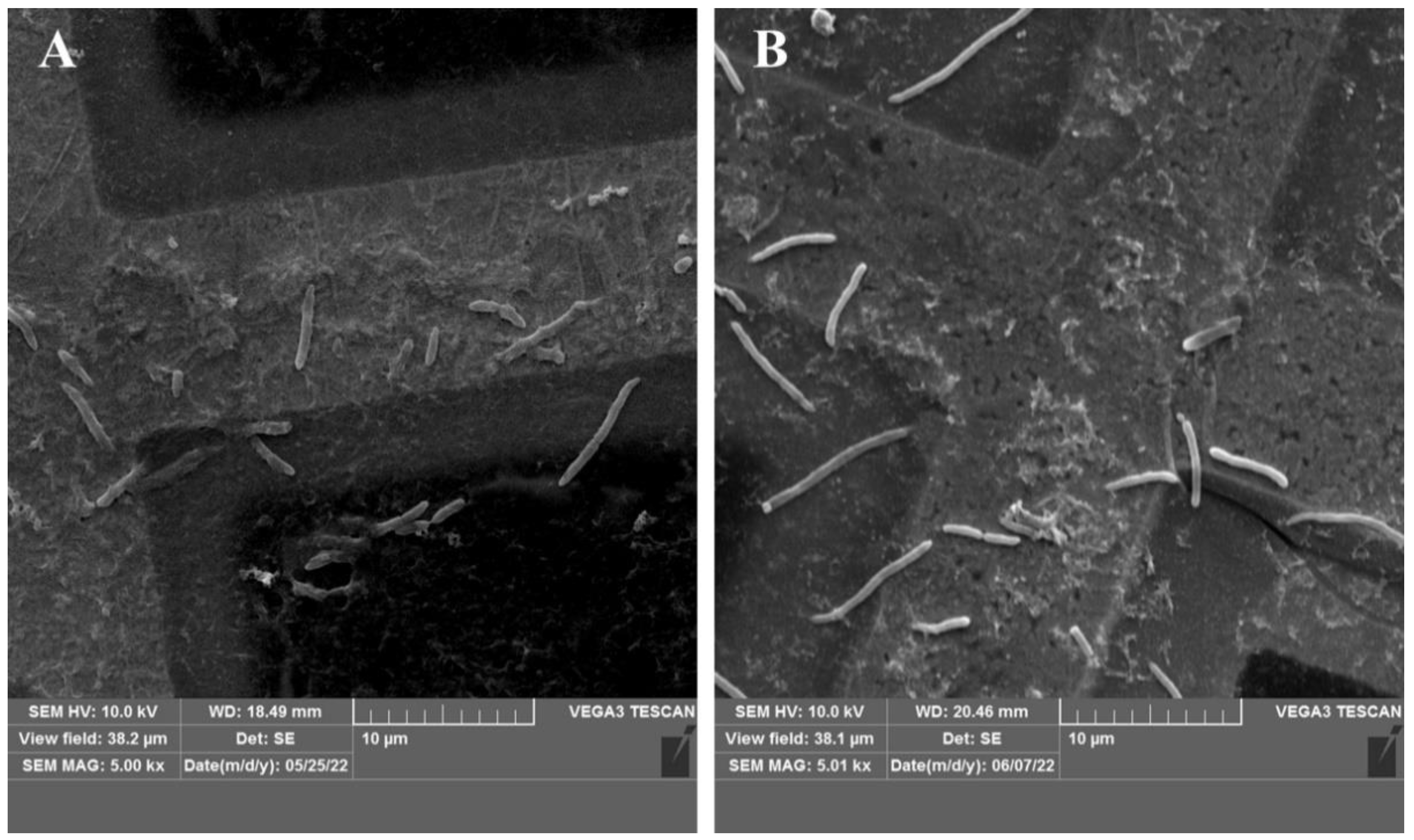 Applsci 13 04575 g006 Applsci 13 04575 g006