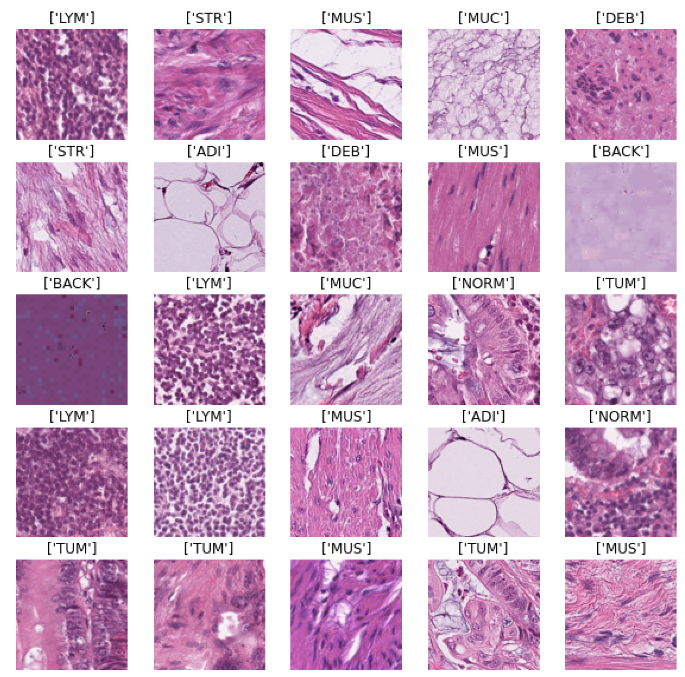 Applsci 13 04594 g007