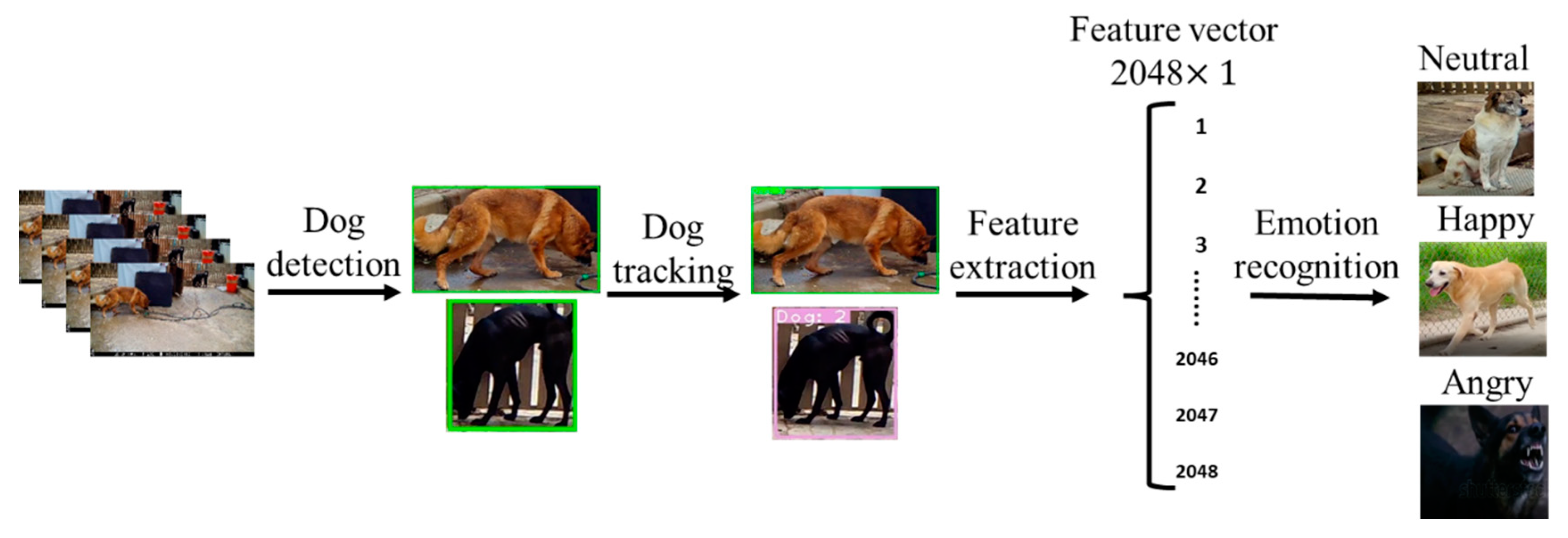 Applsci 13 04596 g001