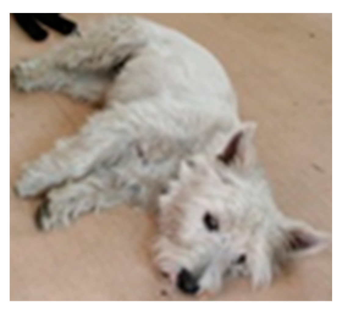 Applsci 13 04596 g003