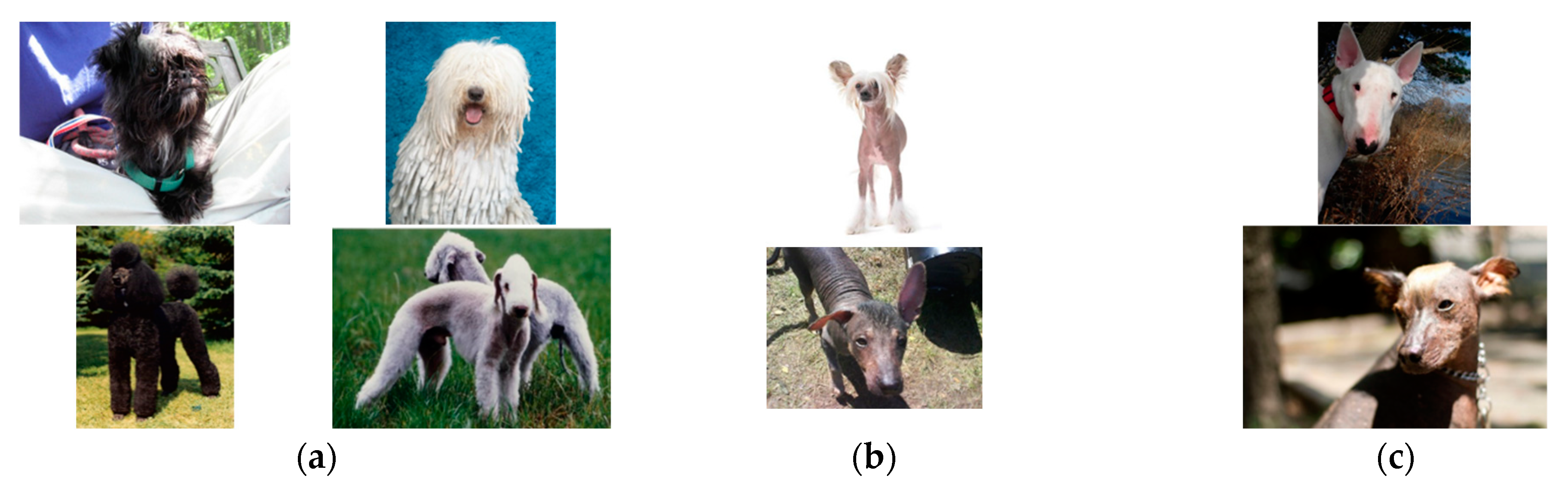 Applsci 13 04596 g013