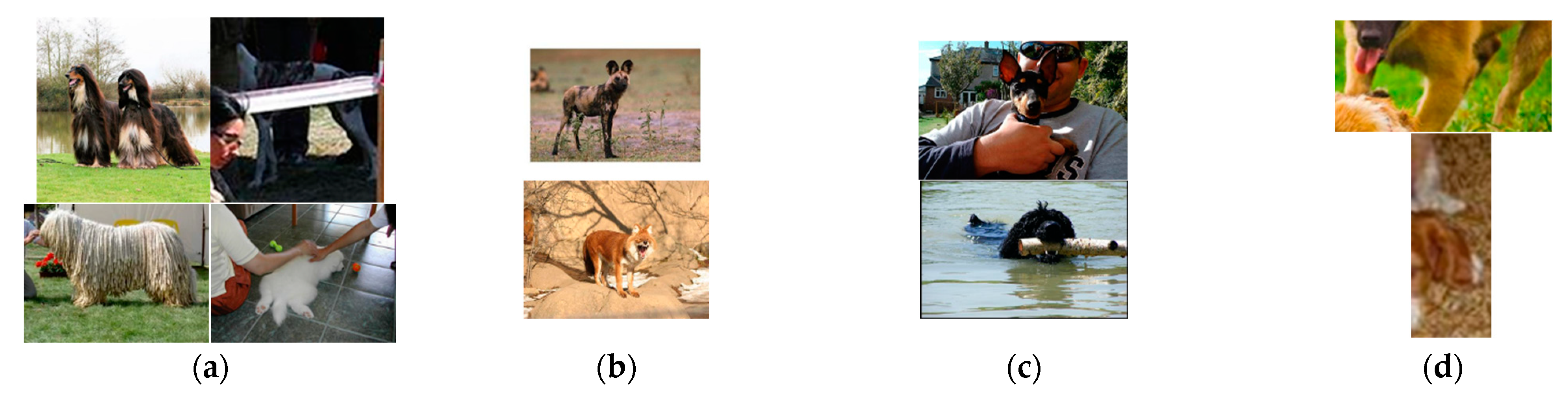 Applsci 13 04596 g014