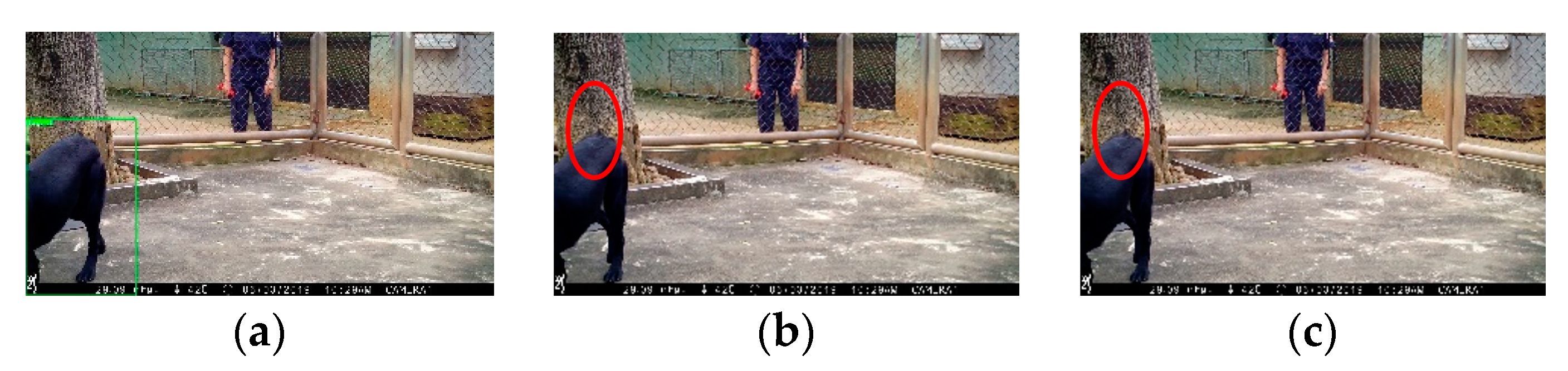 Applsci 13 04596 g015