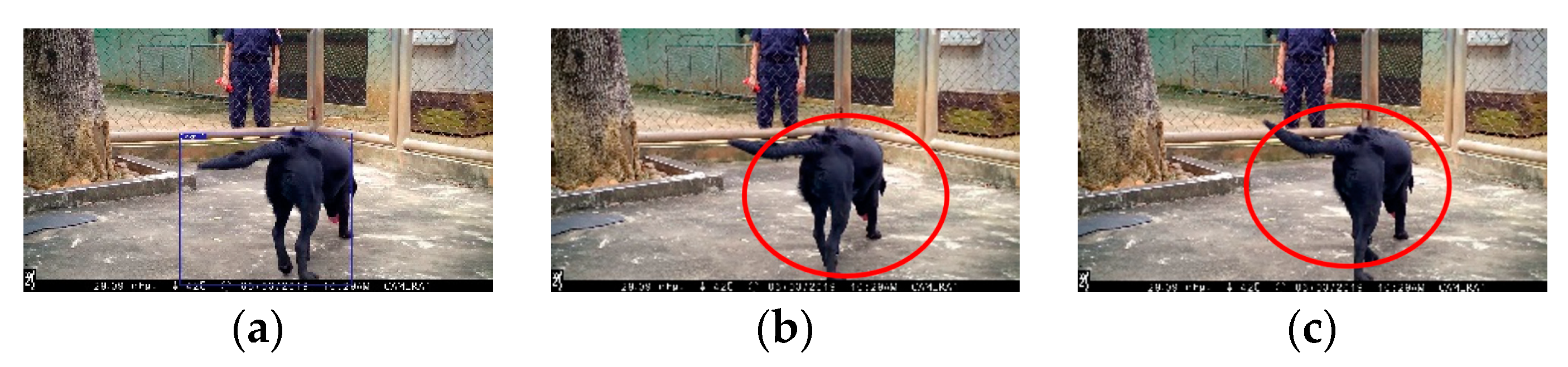 Applsci 13 04596 g016