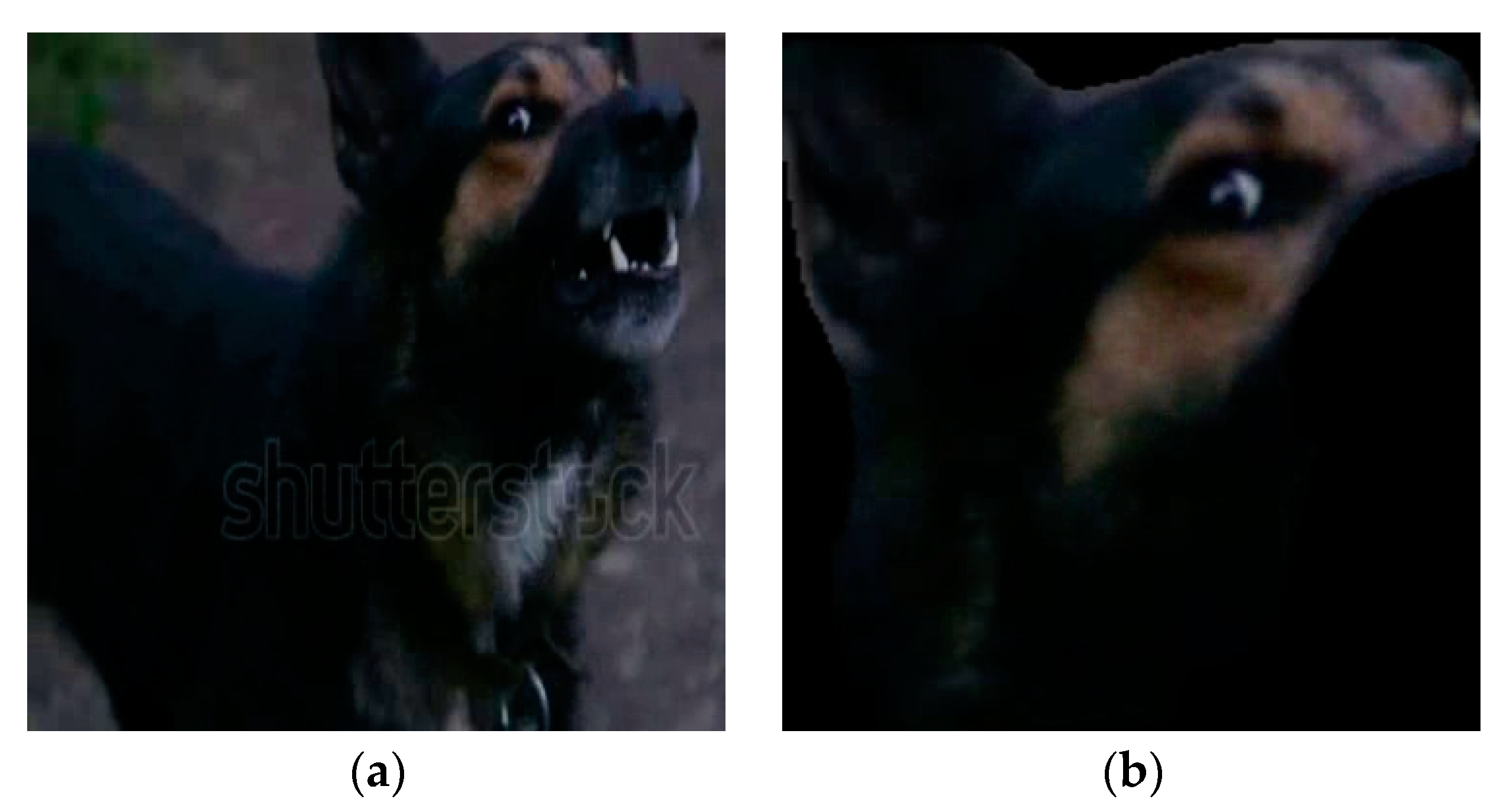 Applsci 13 04596 g021