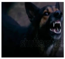 Applsci 13 04596 i001