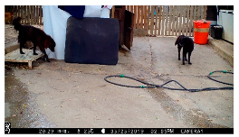 Applsci 13 04596 i009