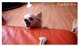 Applsci 13 04596 i010