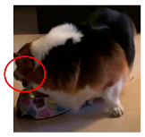 Applsci 13 04596 i013