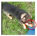 Applsci 13 04596 i014