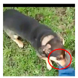 Applsci 13 04596 i016