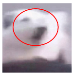 Applsci 13 04596 i021