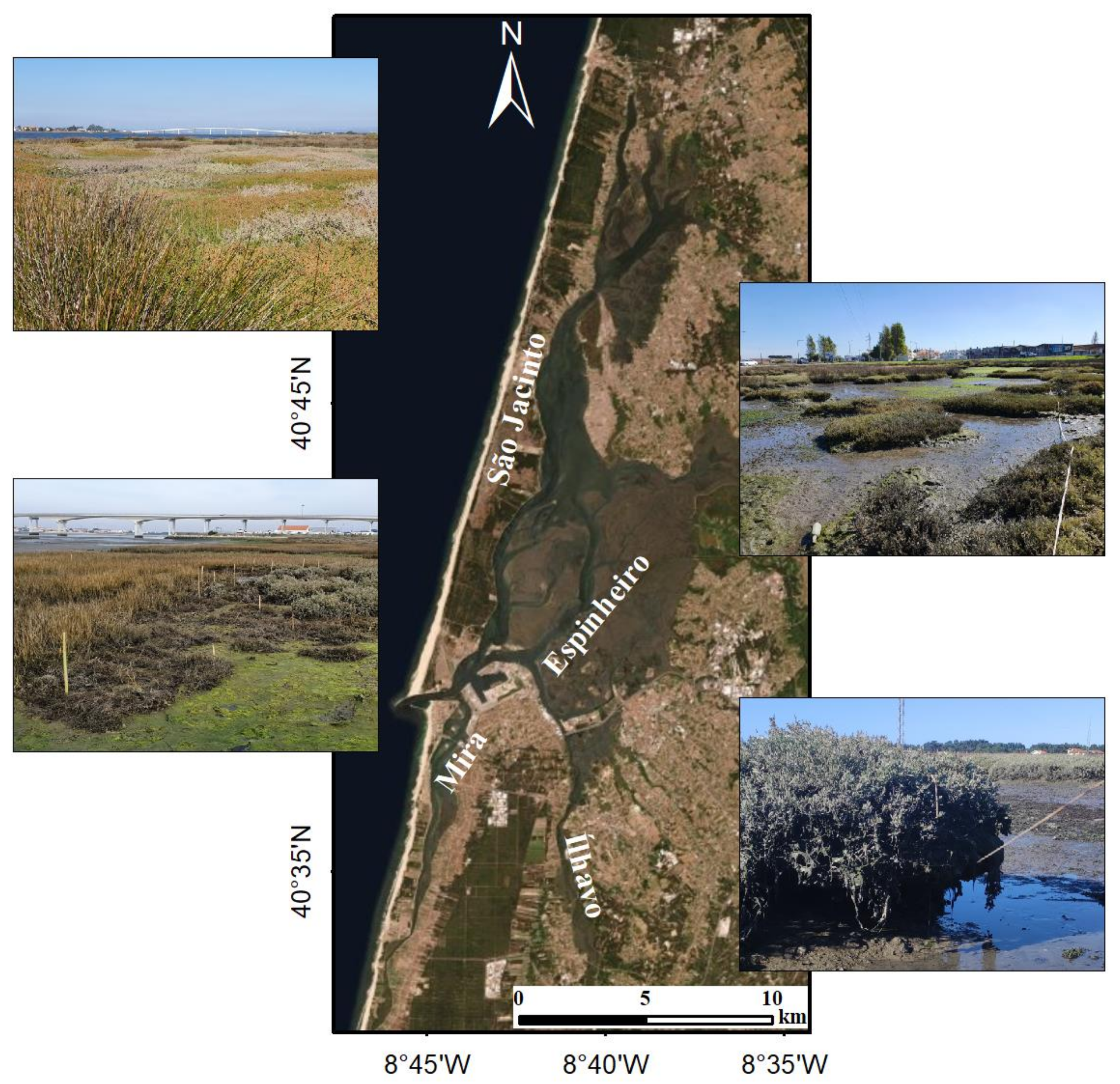 Applsci 13 04605 g001