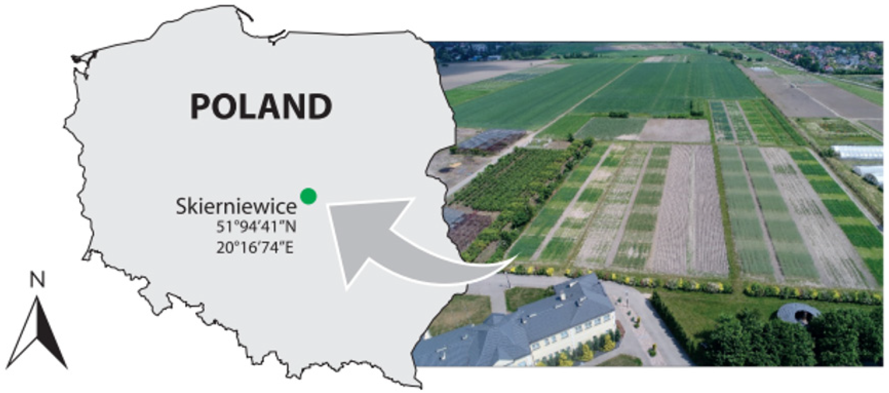 Applsci 13 04620 g001