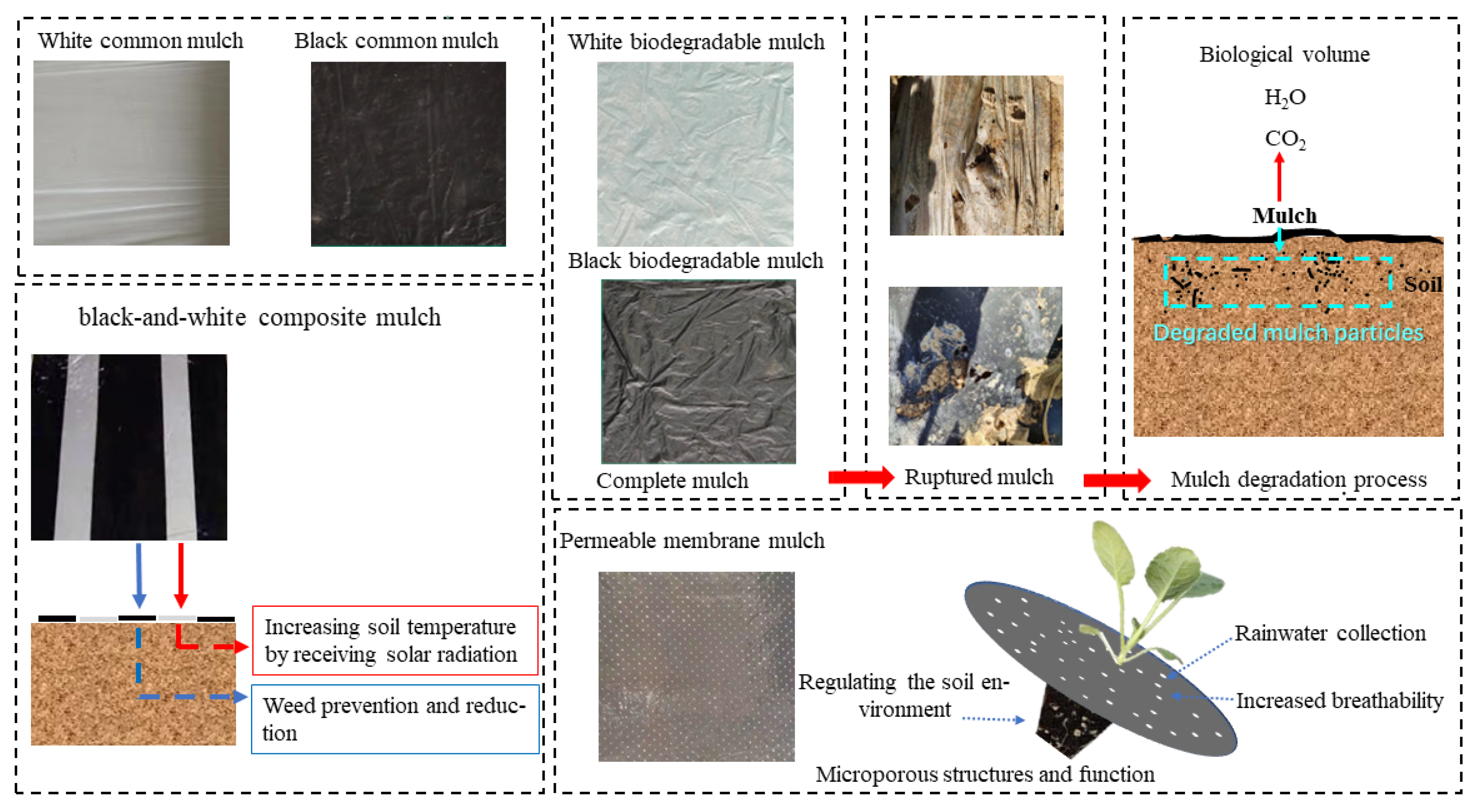 Applsci 13 04622 g002