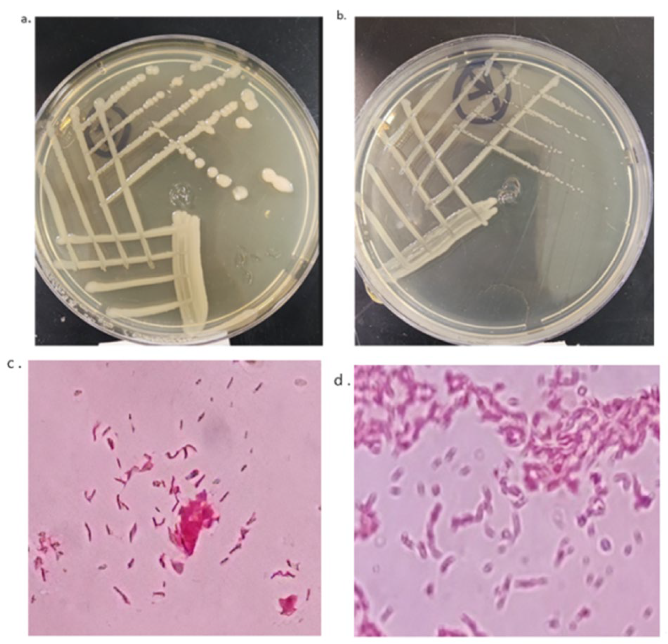 Applsci 13 04629 g001