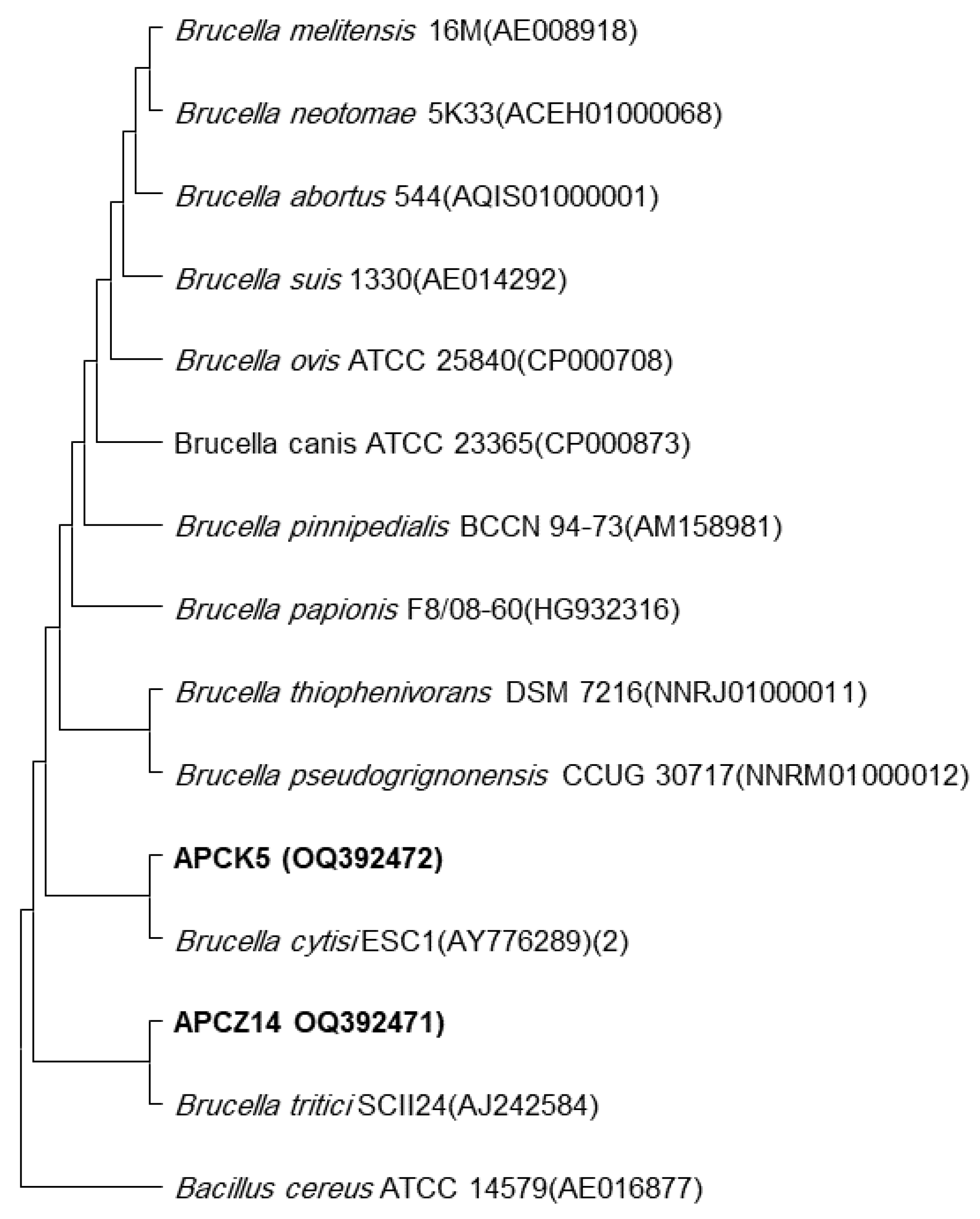 Applsci 13 04629 g002