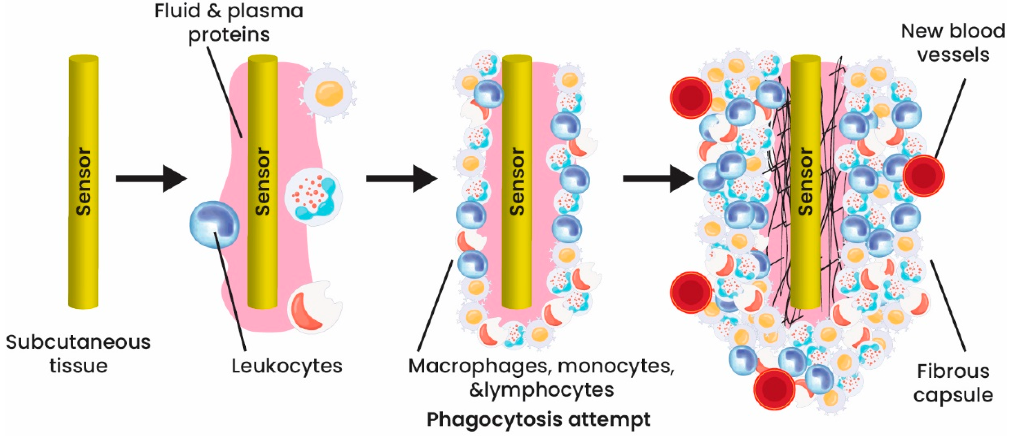 Applsci 13 04630 g004