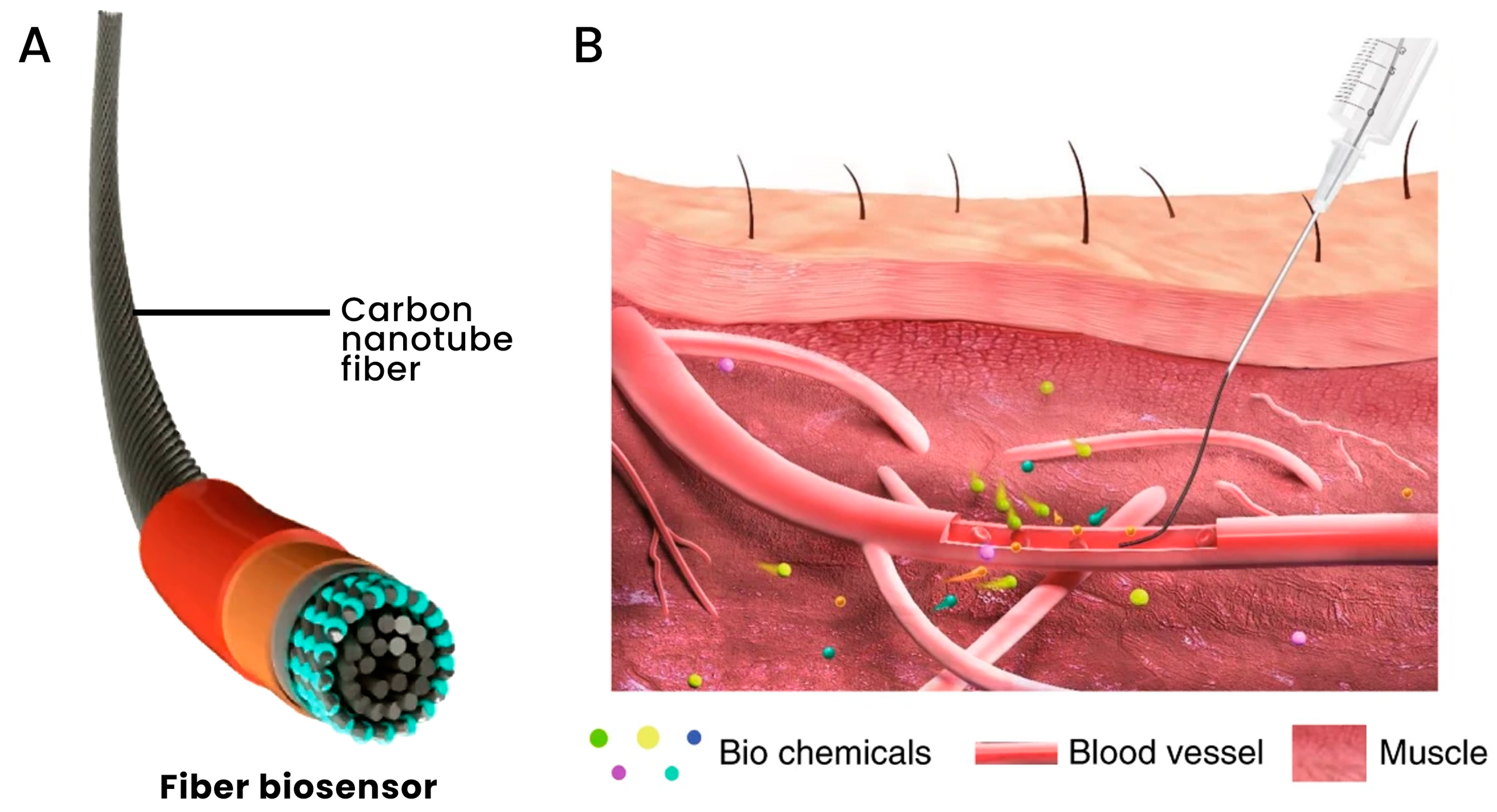 Applsci 13 04630 g005