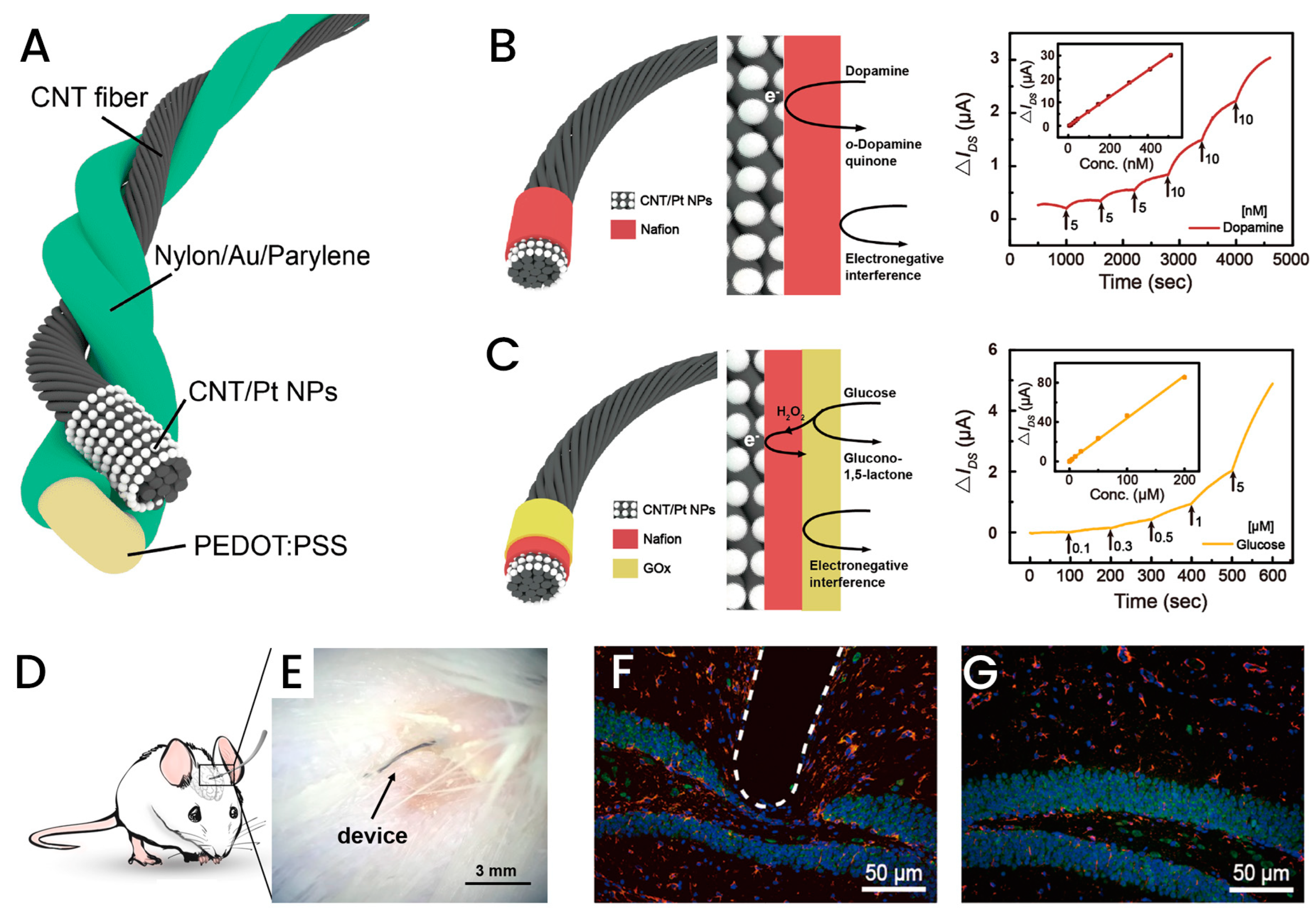 Applsci 13 04630 g006