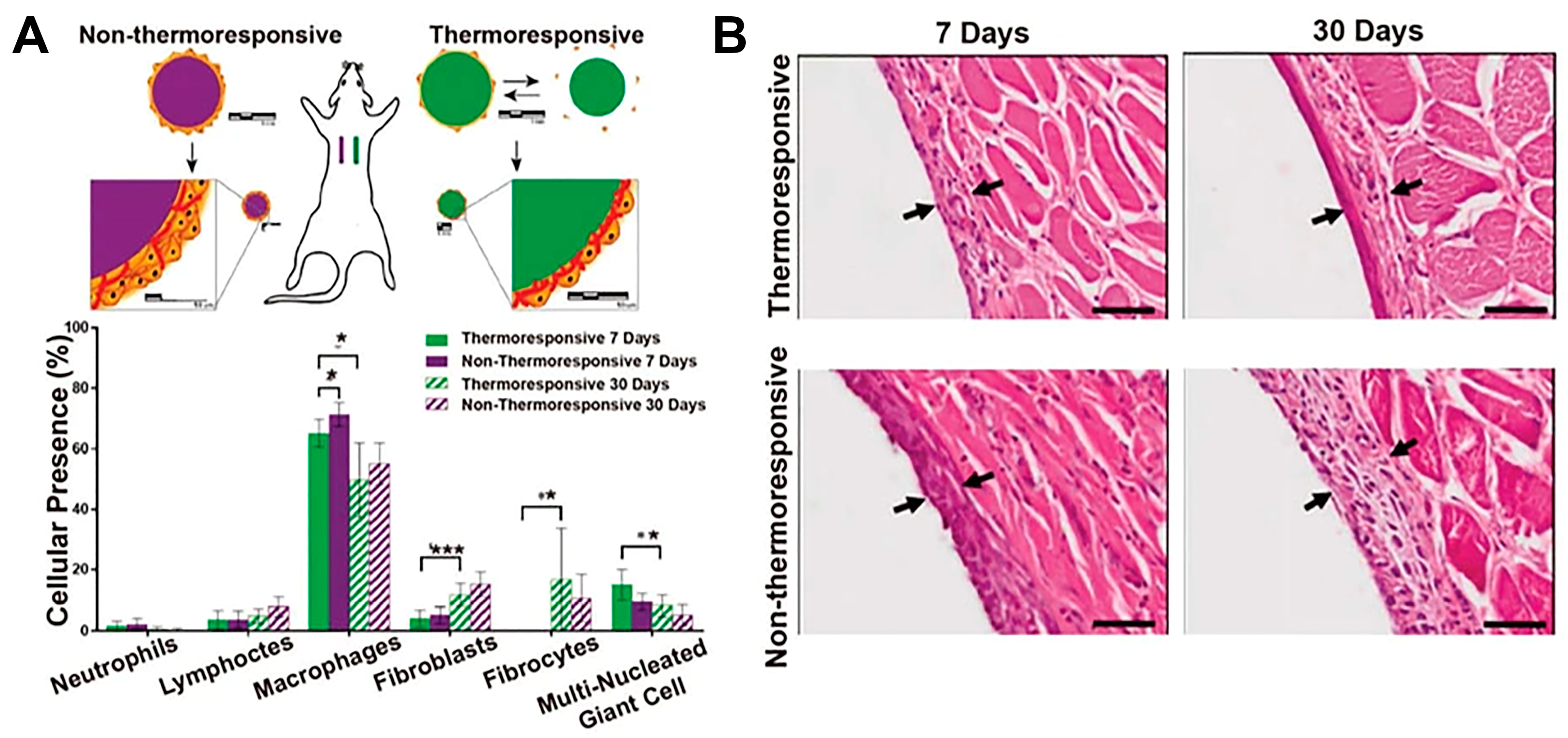 Applsci 13 04630 g010