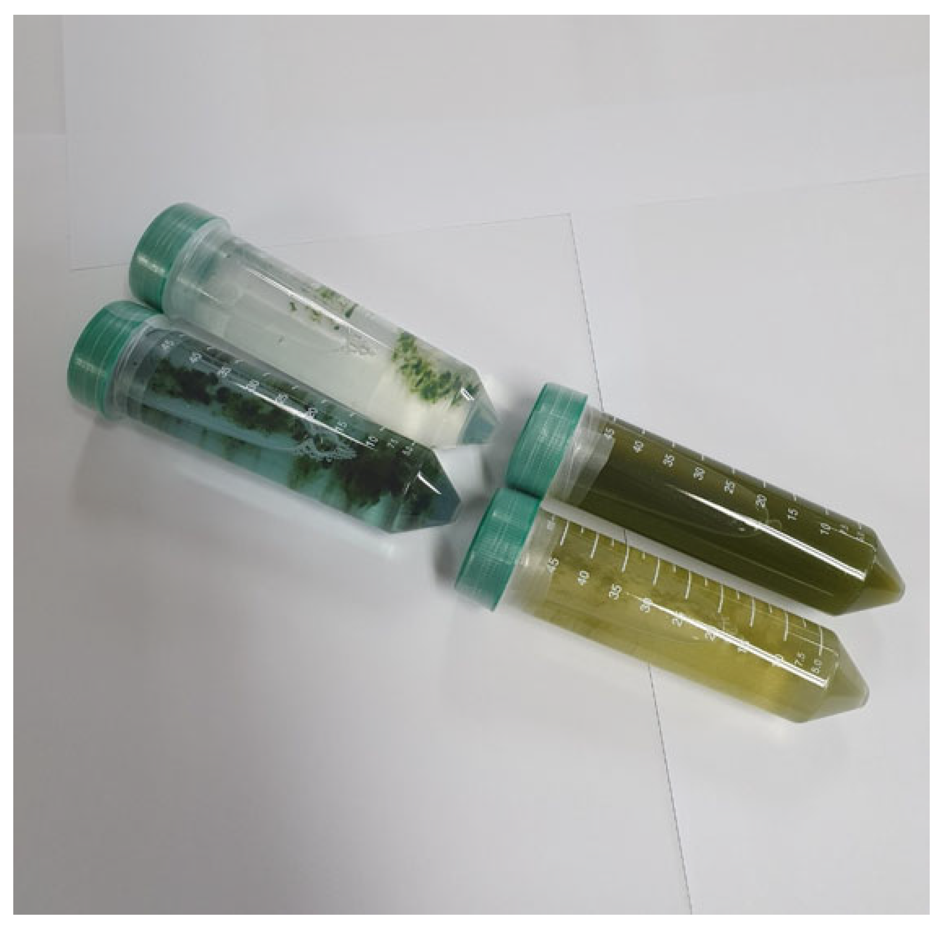 Applsci 13 04631 g001