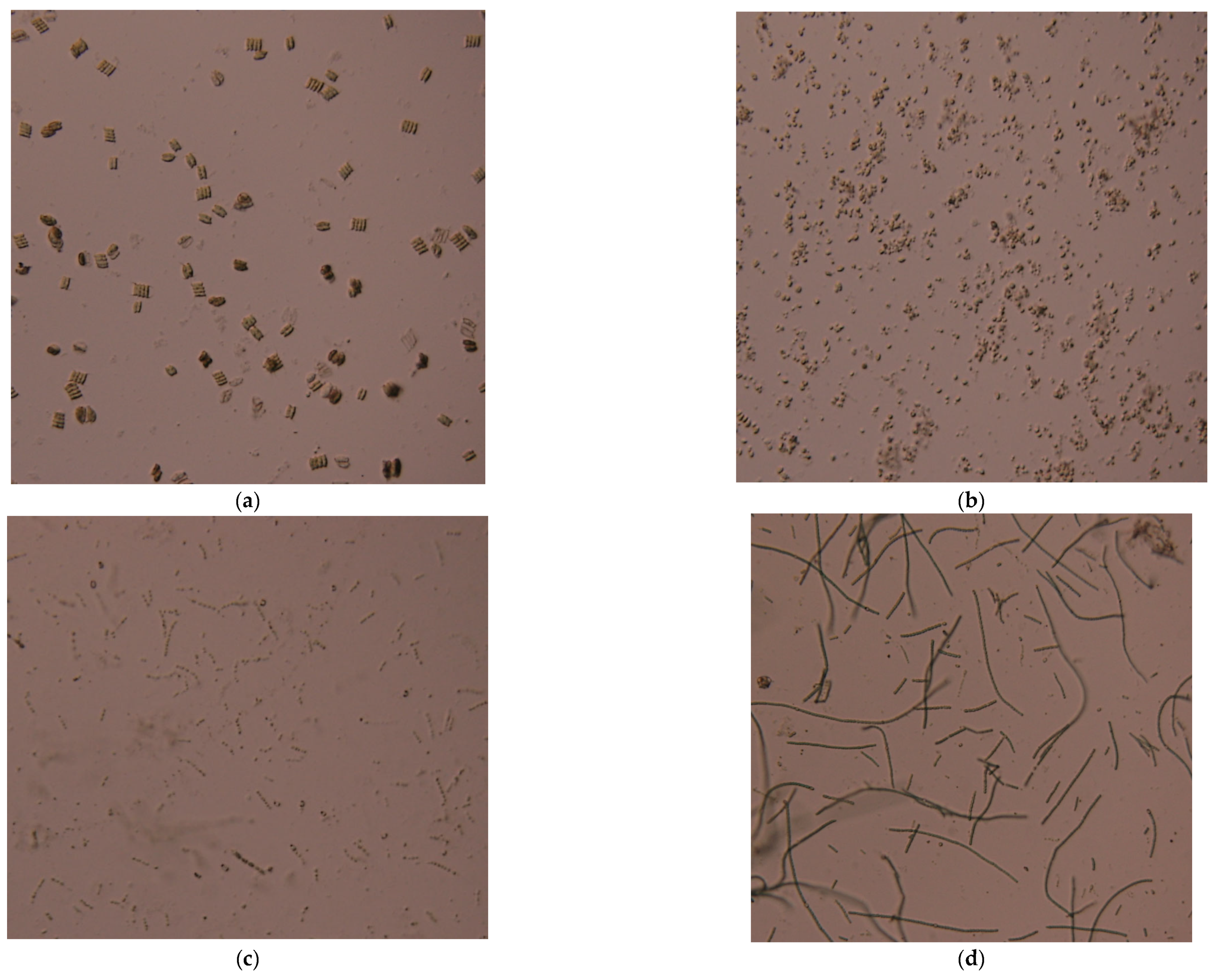 Applsci 13 04631 g002