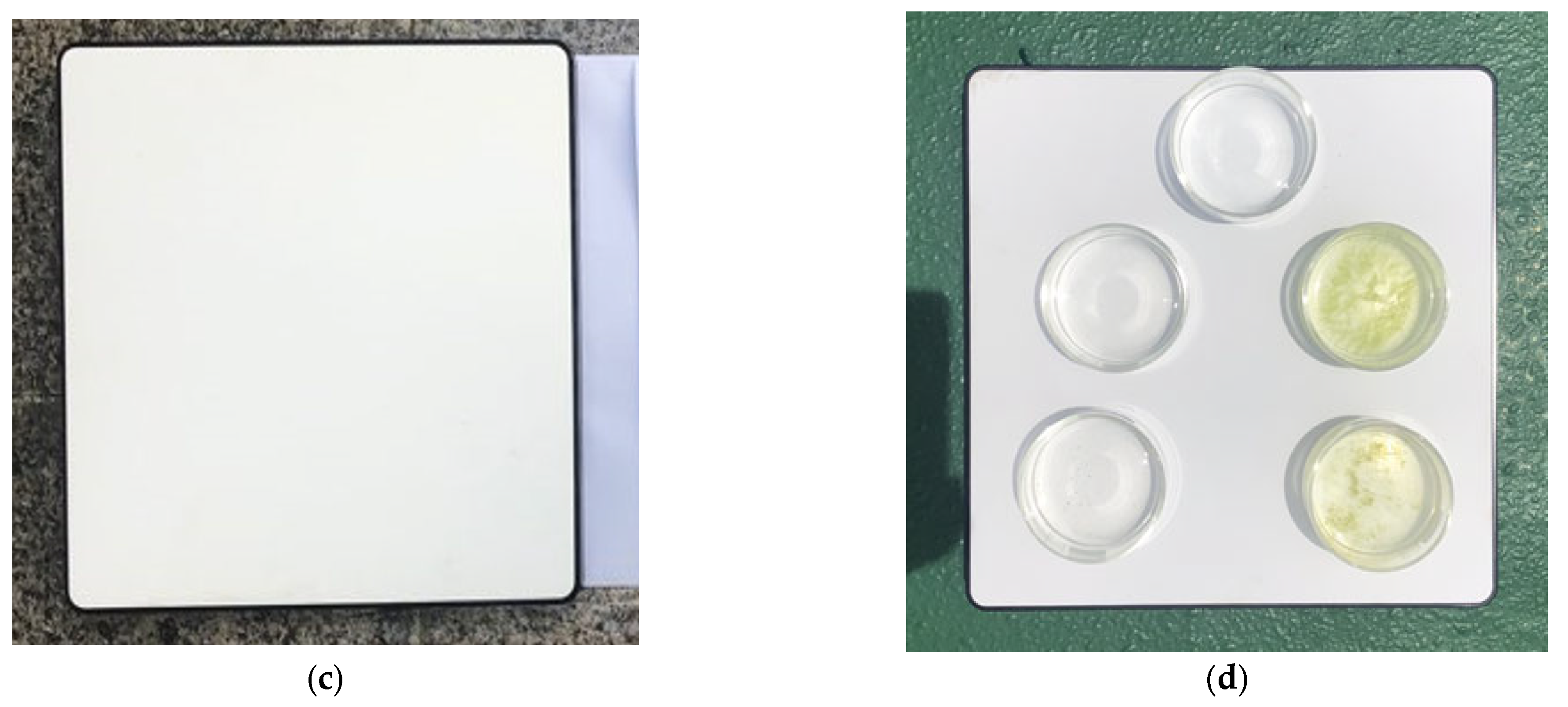 Applsci 13 04631 g005b