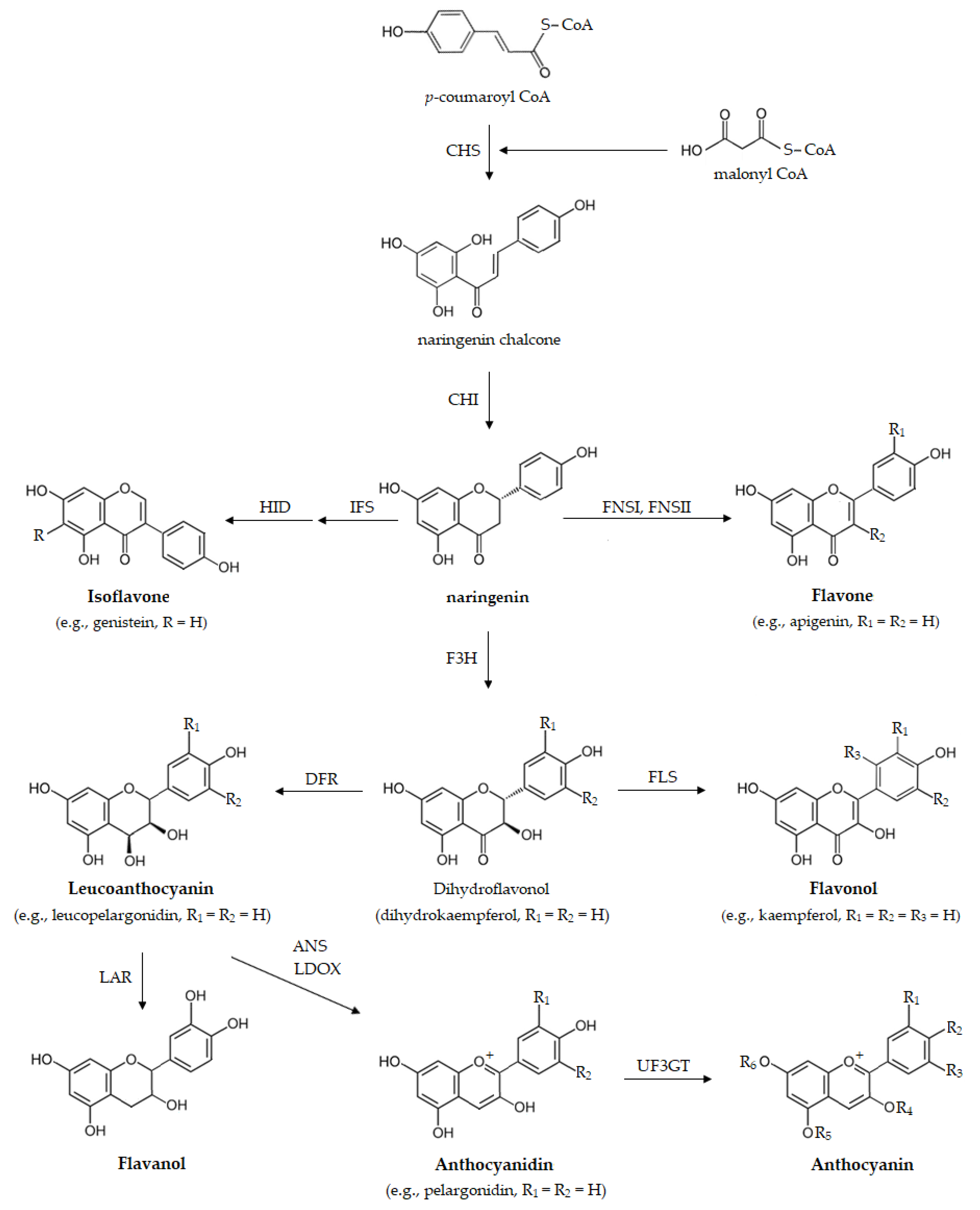 Applsci 13 04651 g001