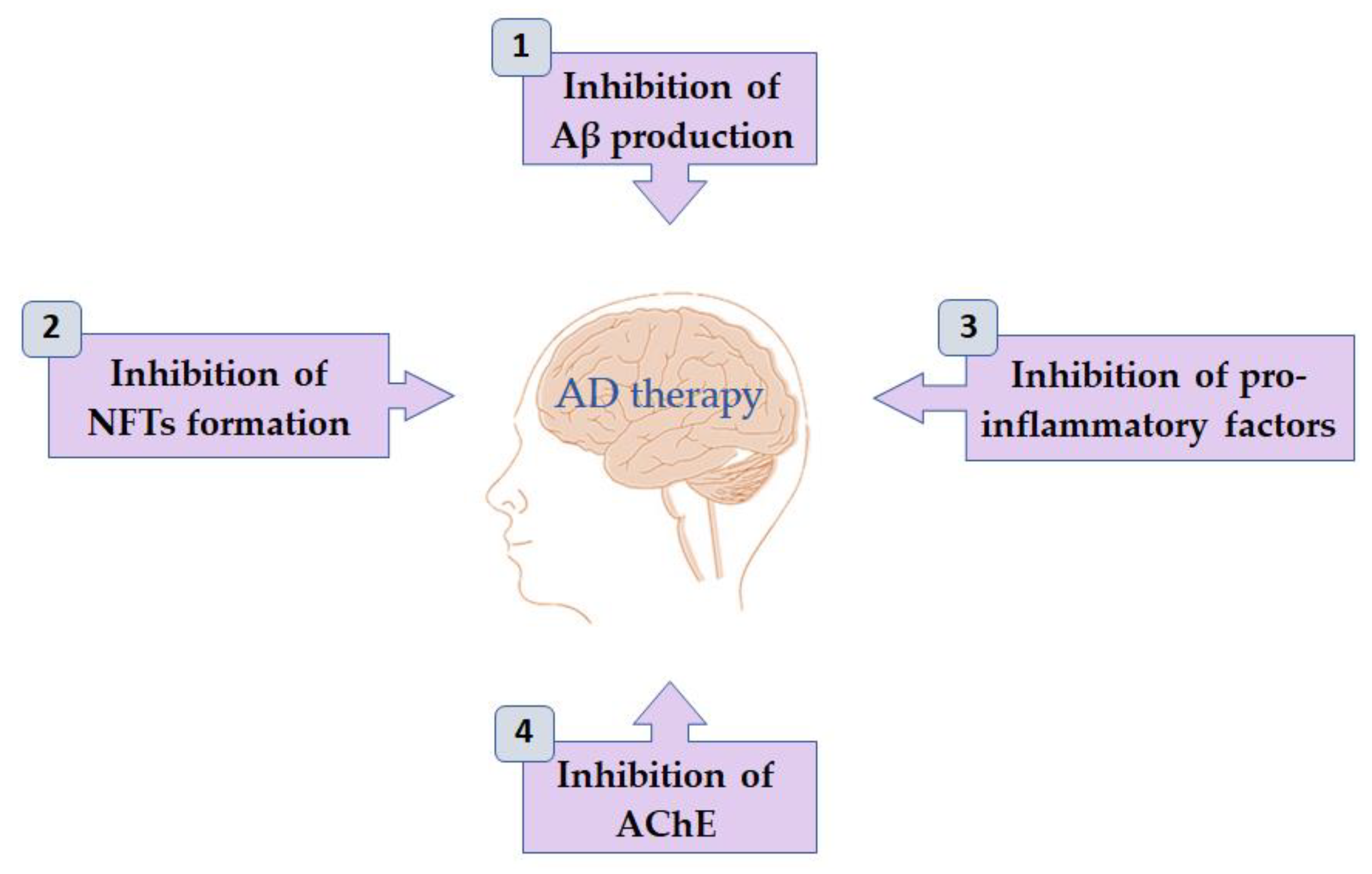 Applsci 13 04651 g004