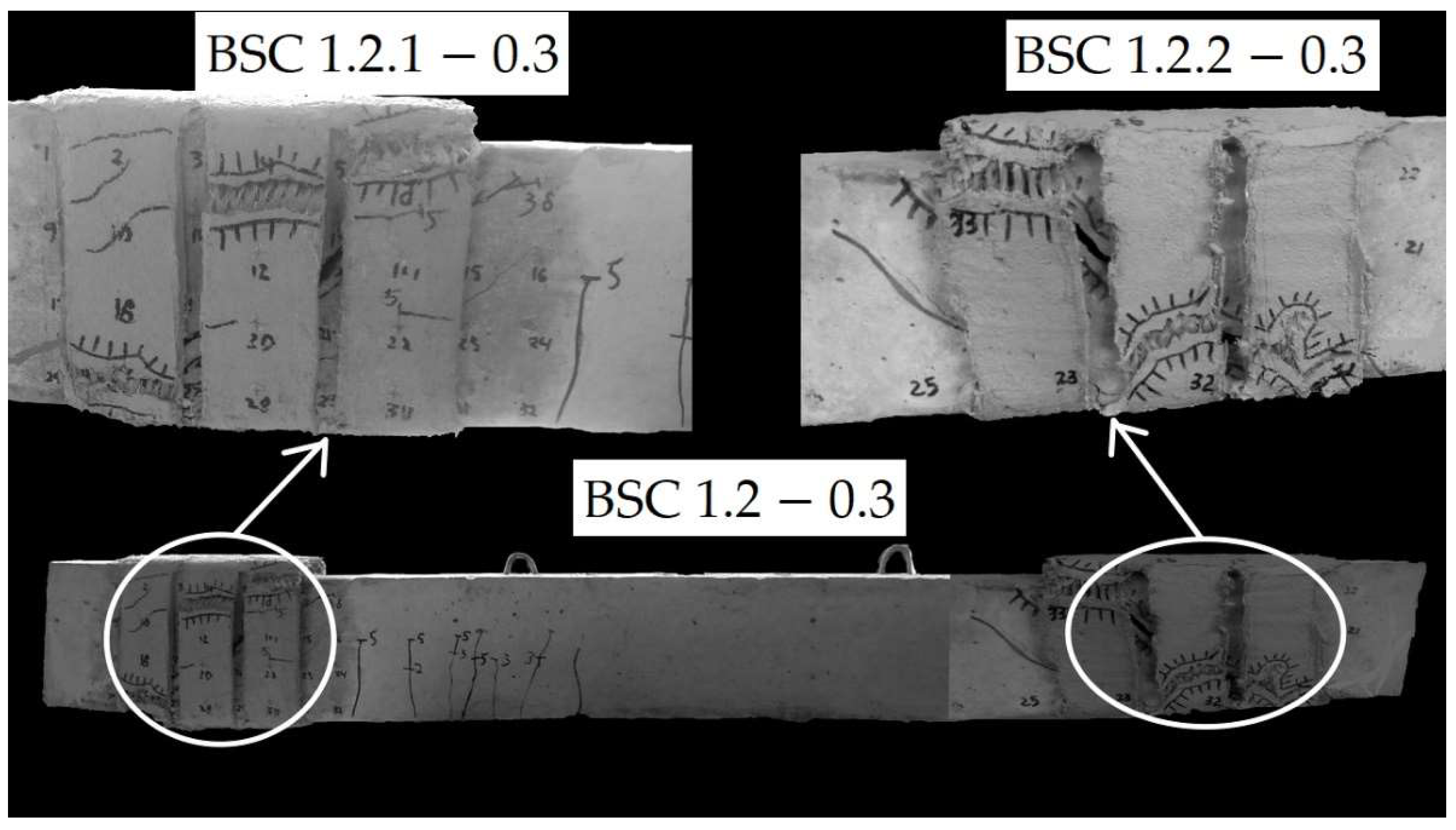 Applsci 13 04658 g002