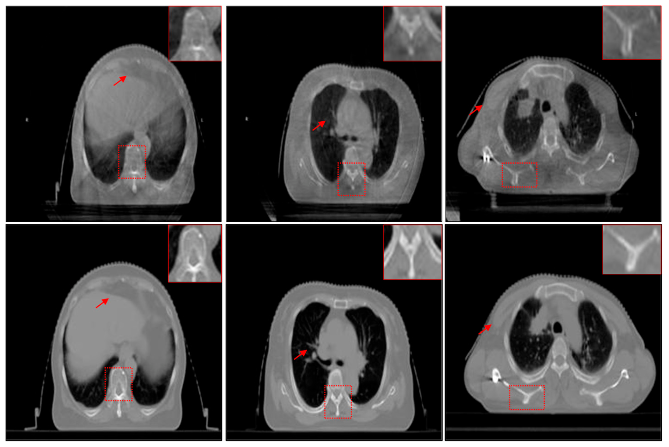 Applsci 13 04675 g001