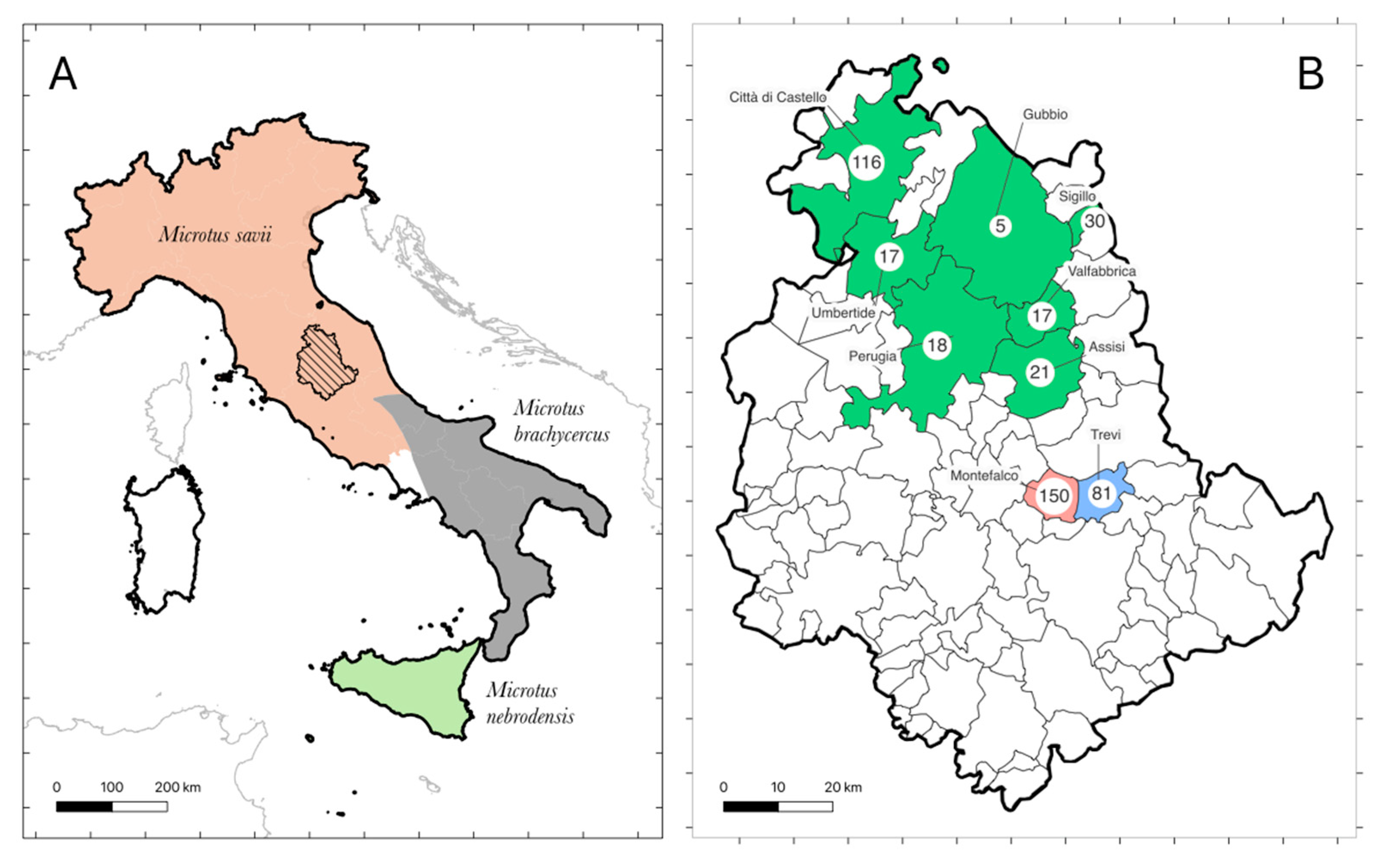 Applsci 13 04703 g002