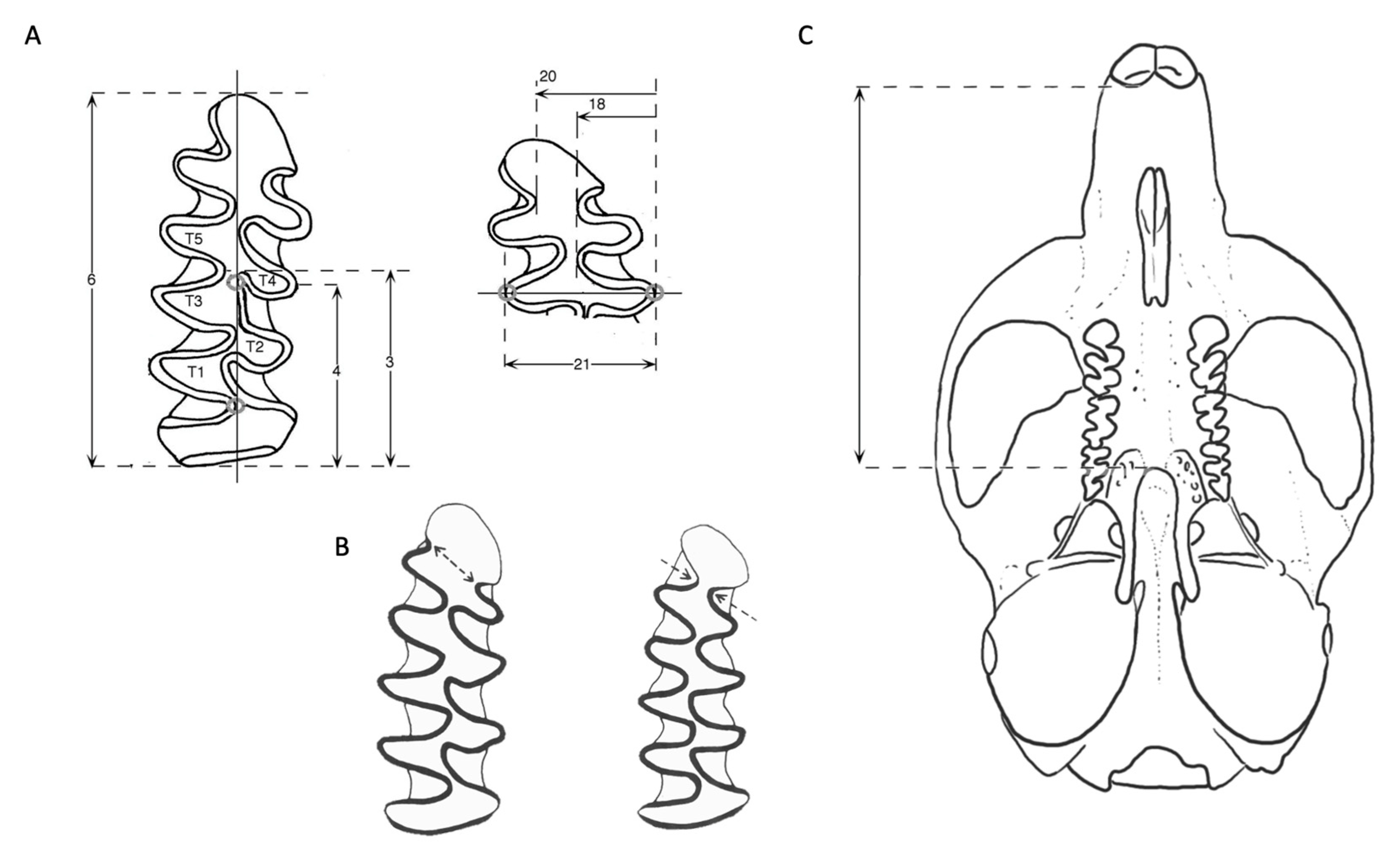 Applsci 13 04703 g003