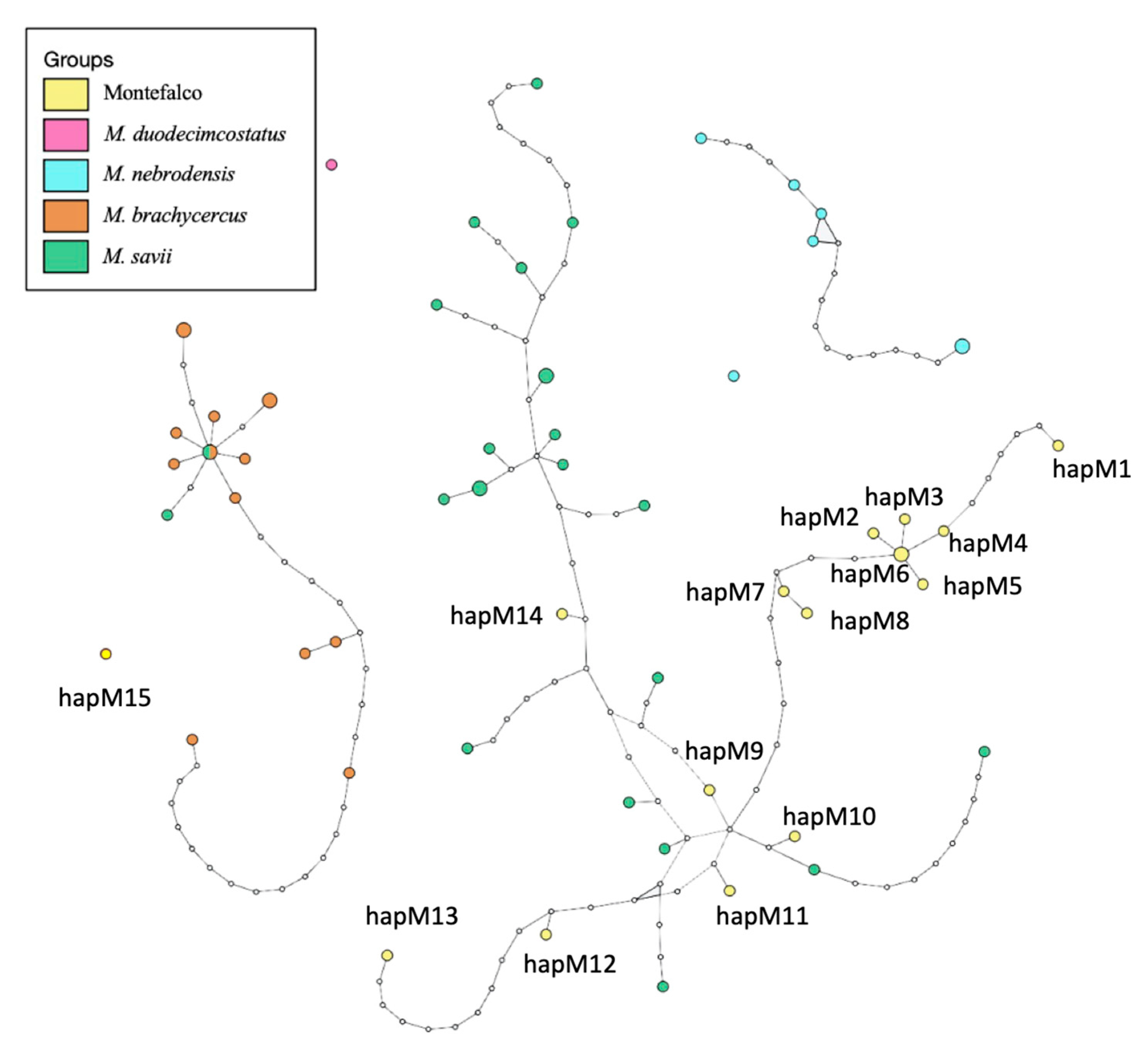 Applsci 13 04703 g007