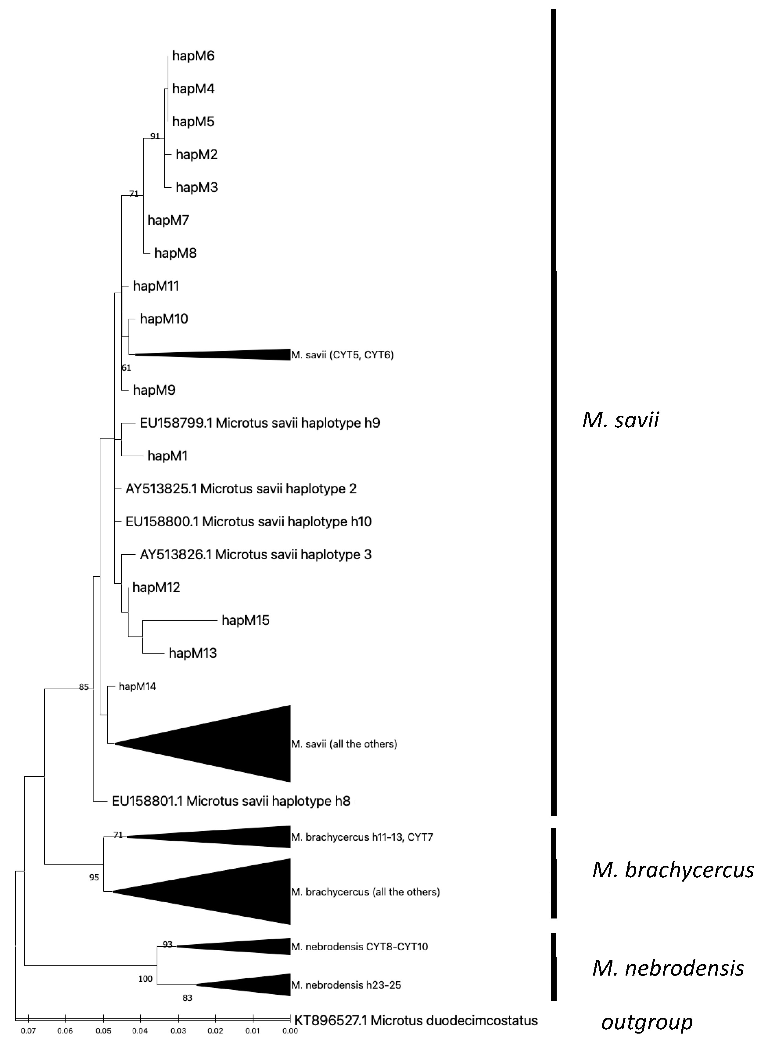 Applsci 13 04703 g008